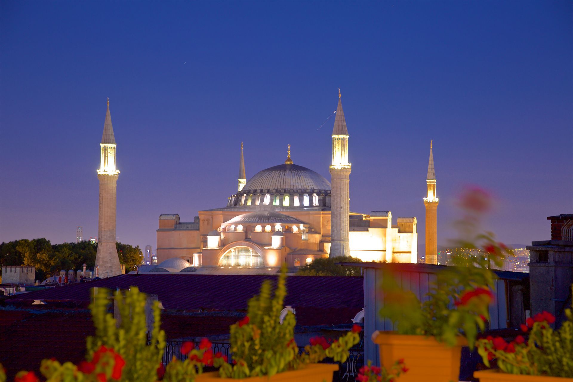 Istanbul white house hotel | Lit mosque and minarets at dusk against a deep blue sky, with colorful foreground flowers