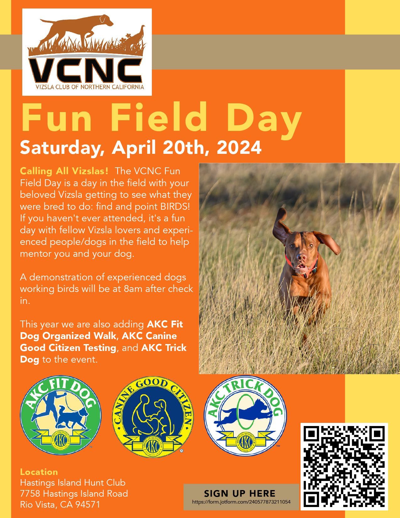 A poster for fun field day on april 20th 2024