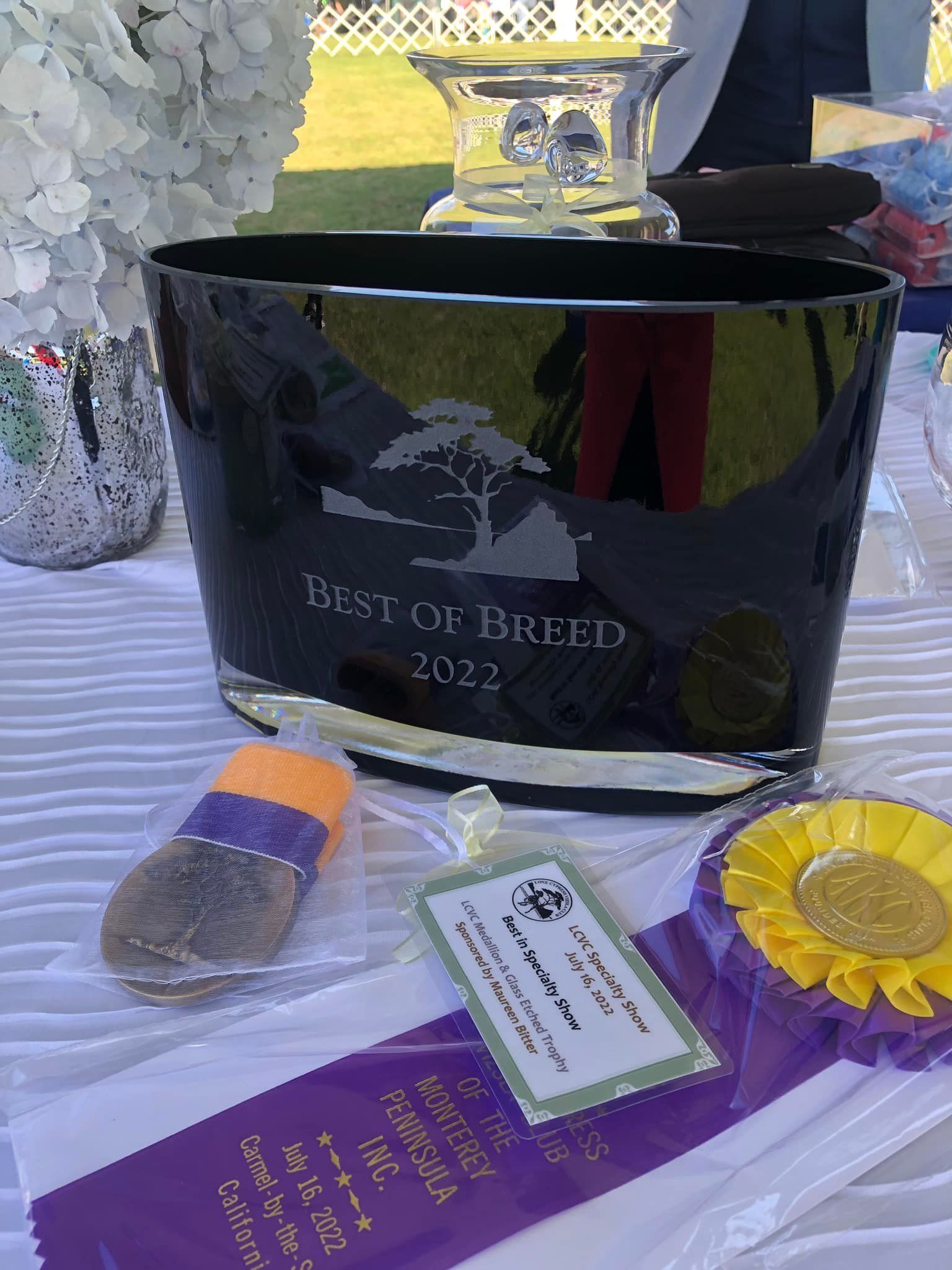 A black bucket with a tree on it is sitting on a table next to a purple ribbon.