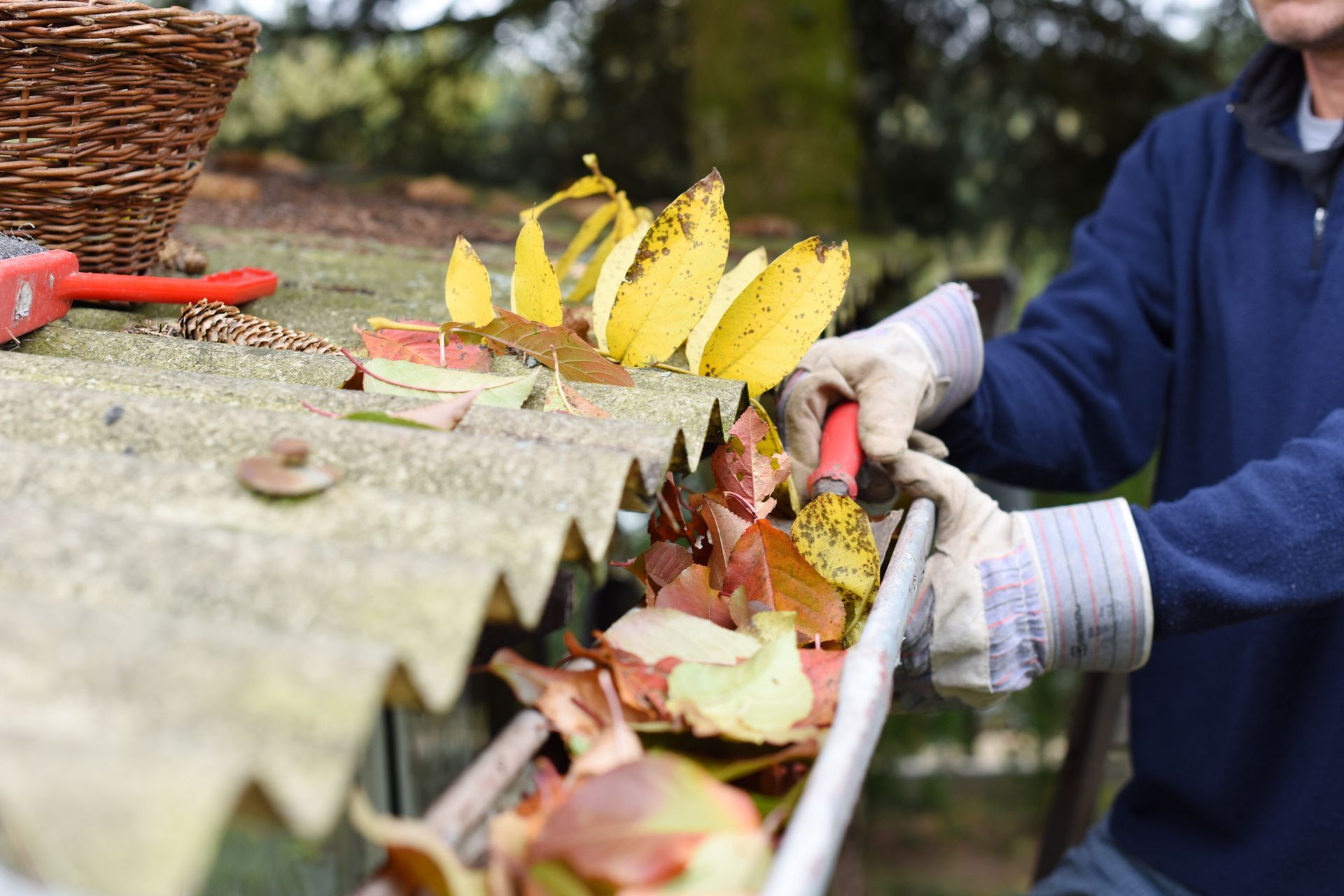 A man is cleaning a gutter with leaves