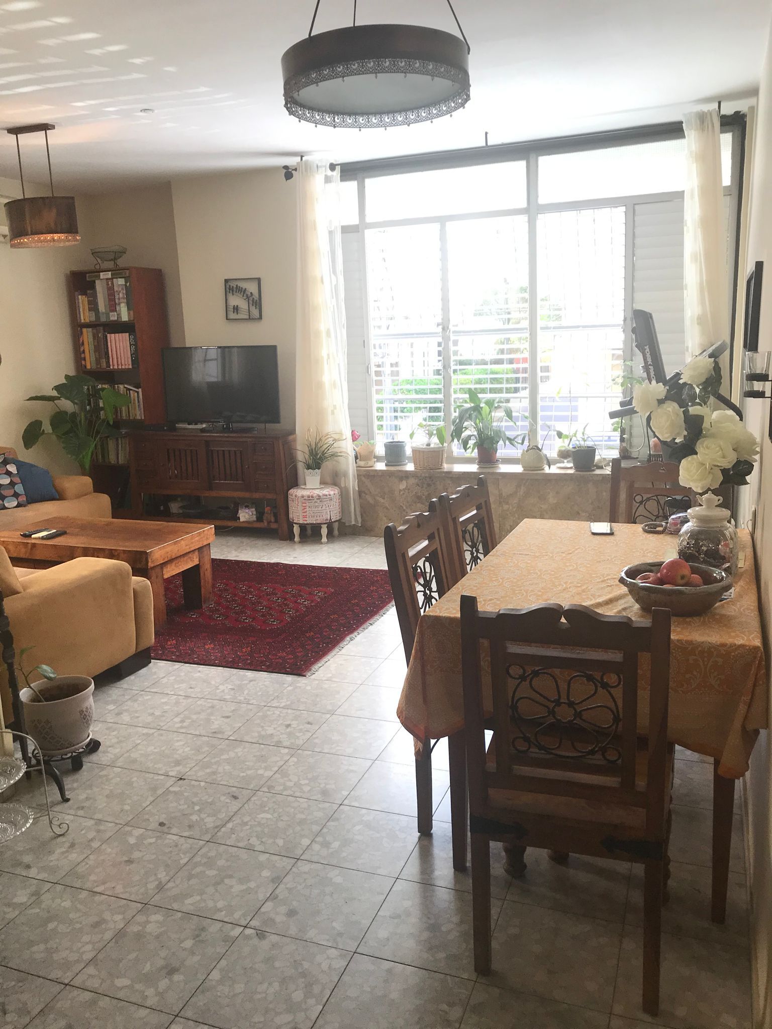 ביאליק 24