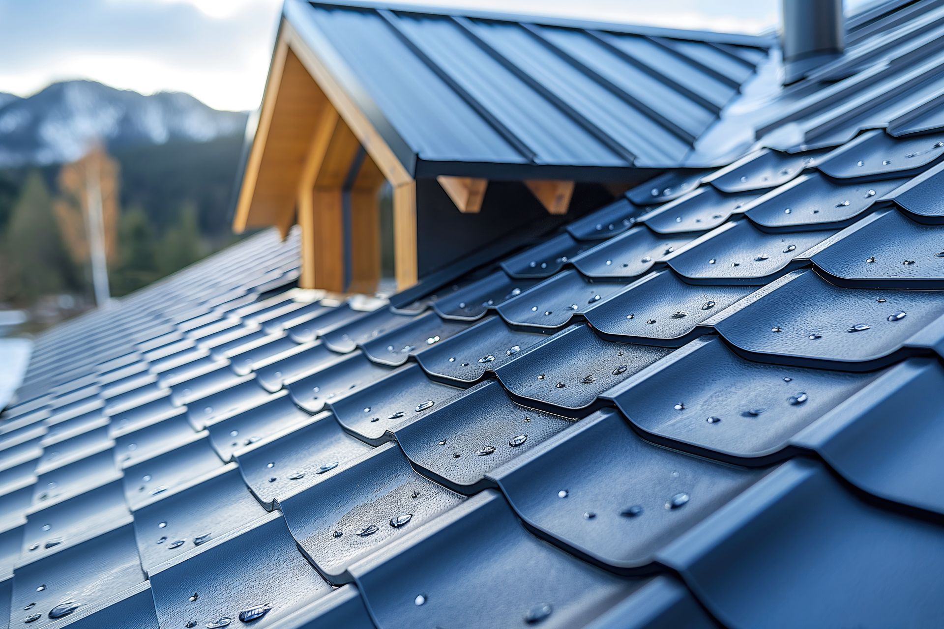 Roofing Services