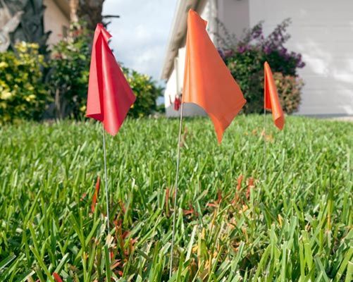 Red and orange utility marking flags stuck in a lawn.