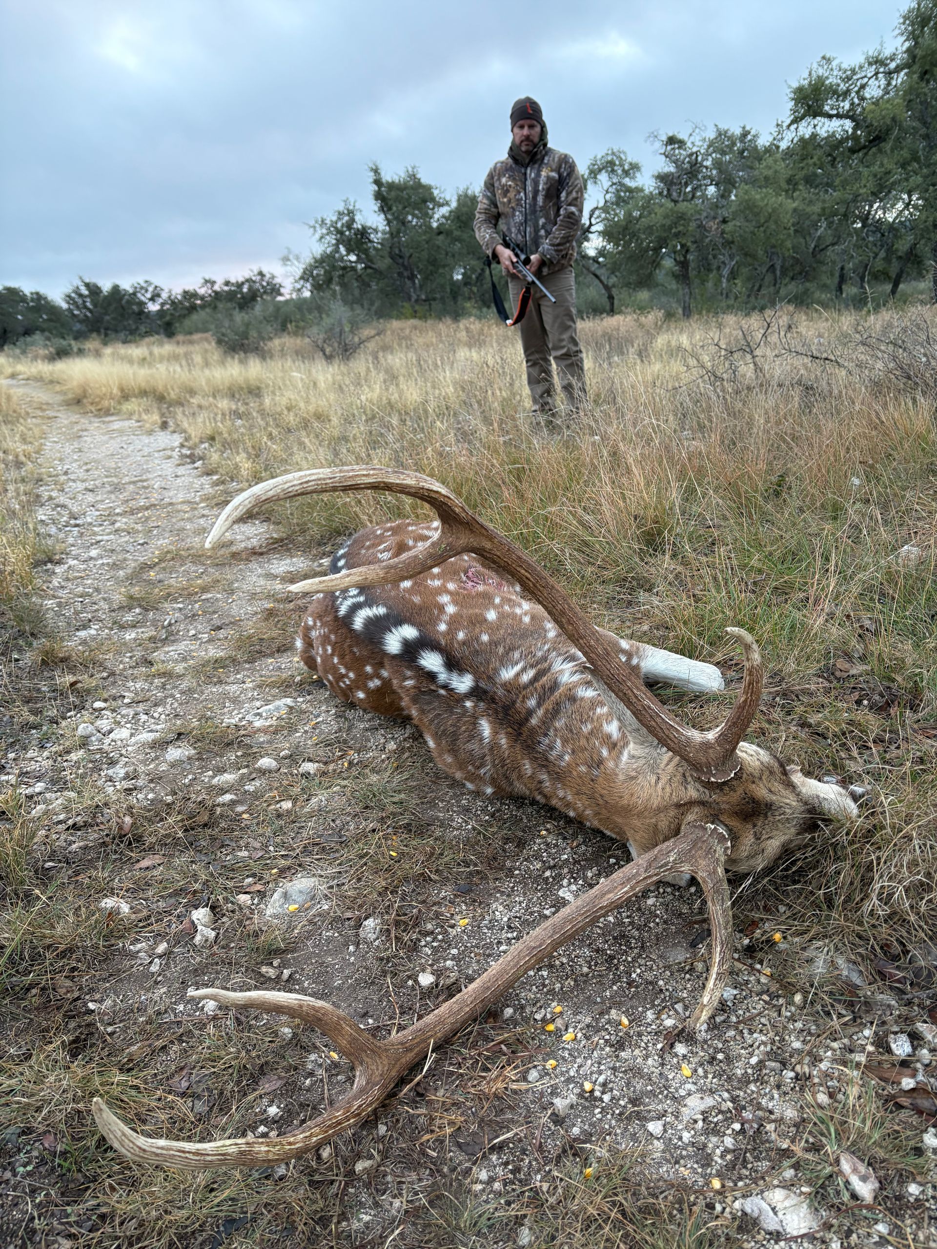 Hunter stands near a fallen axis deer with large antlers on a grassy path.