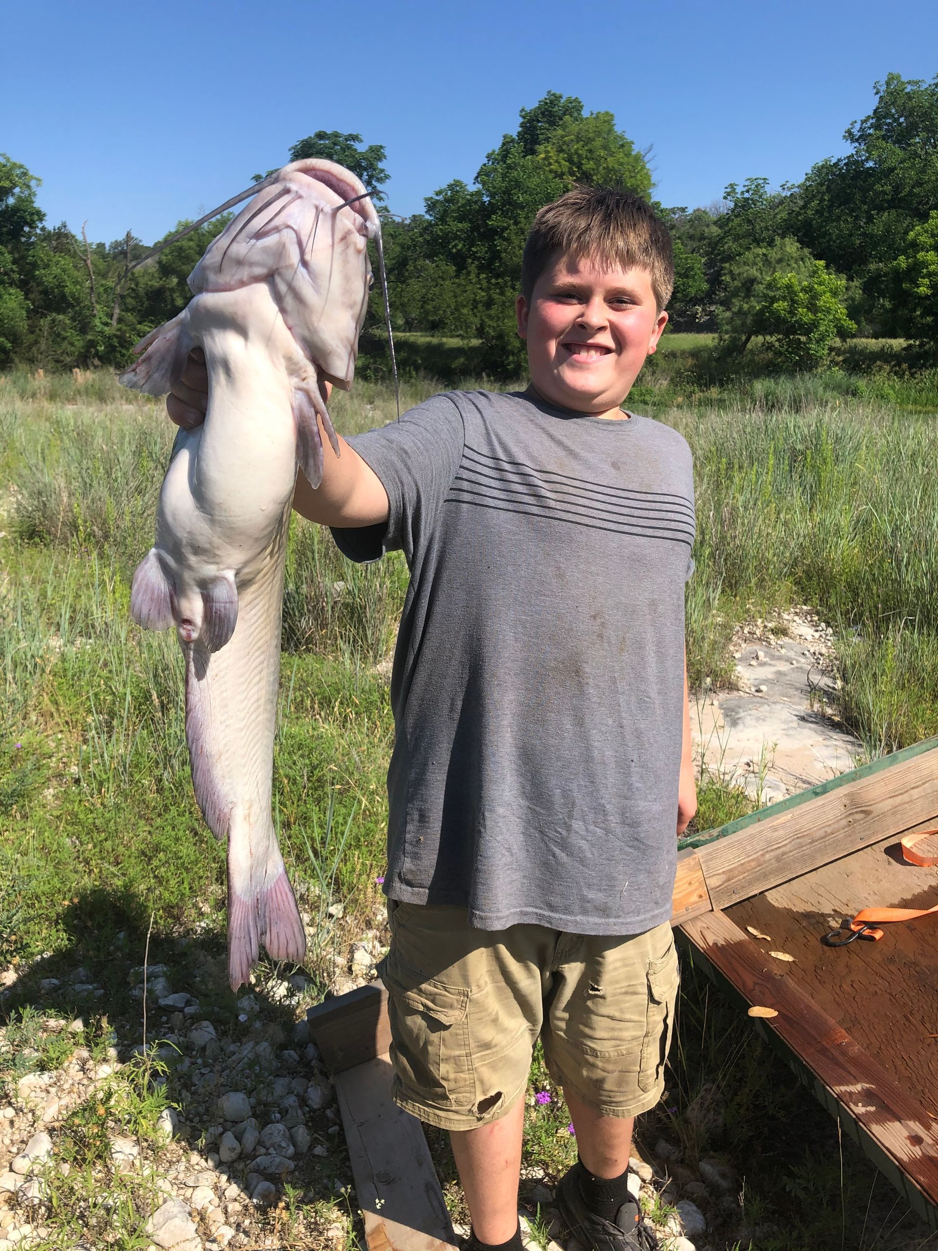 Boy smiles, holding large, pale catfish on sunny day, near water and green trees.