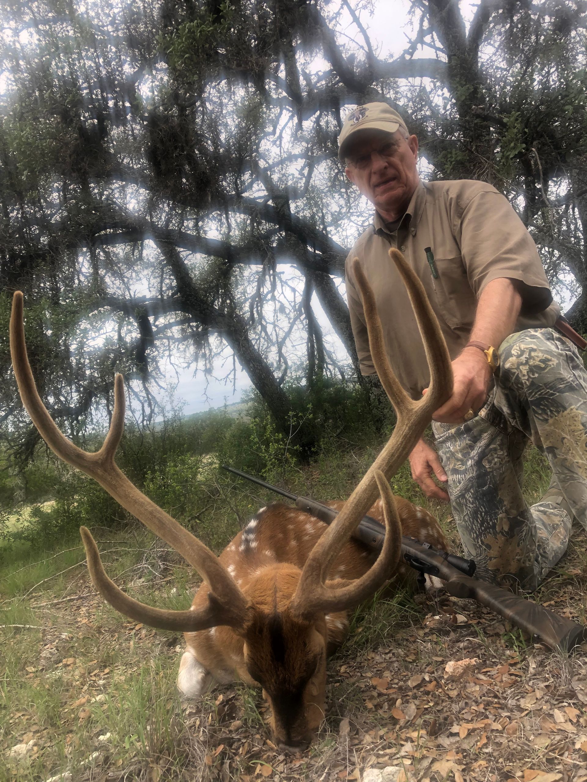 Man kneels next to a spotted deer with large antlers, holding the antlers. Outdoors in a wooded area.