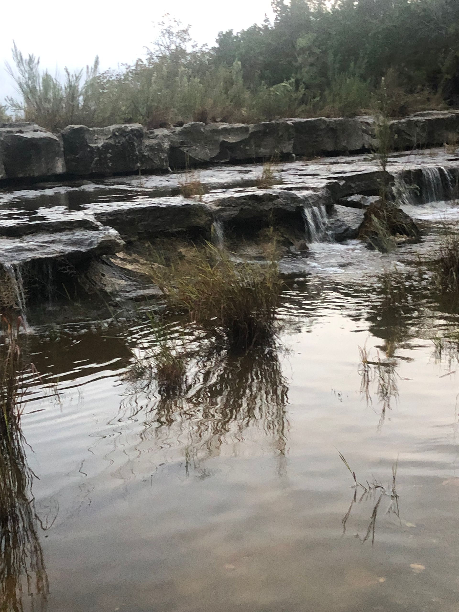 Water flowing over stone ledges, with foliage in the water and a tree line in the background.