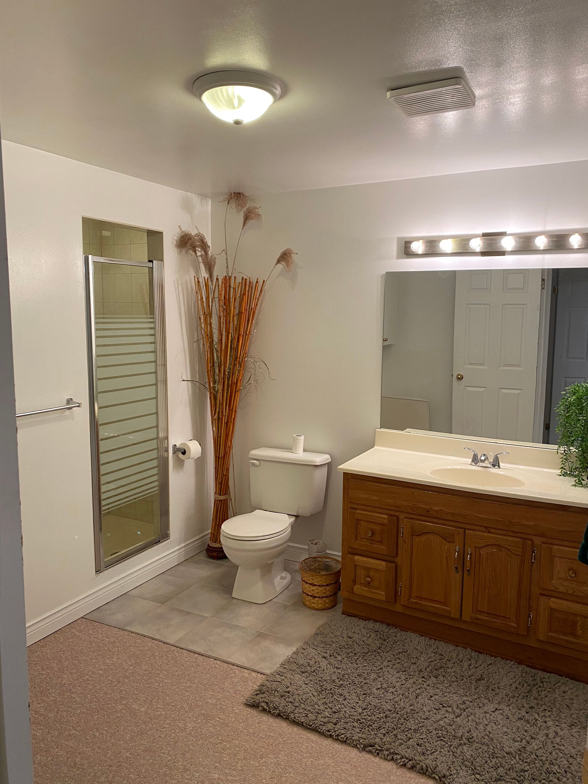 Bathroom with a toilet, vanity, shower, and dried plant arrangement.