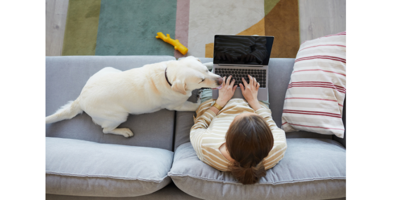 A woman is laying on a couch with a dog and typing on a laptop.