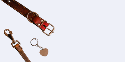 A brown leather dog collar , leash , and tag on a white background.