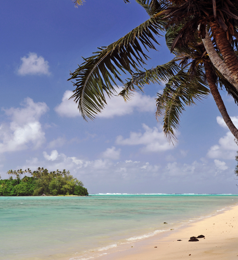 A beach with a palm tree in the foreground and a small island in the background