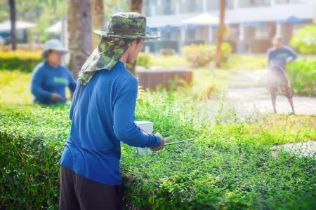 Person in blue shirt watering green crops in a bright garden, with other workers in the background