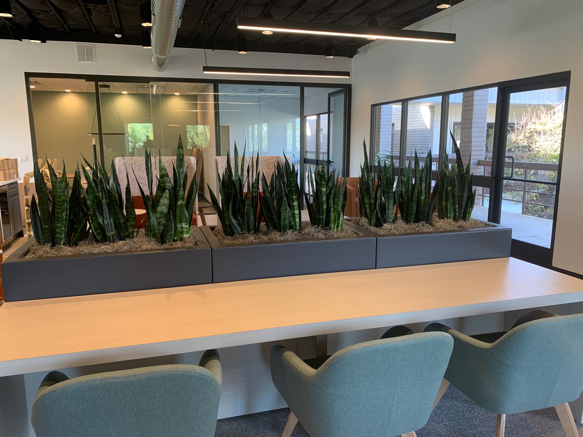 Commercial Indoor Plant Displays | Scottsdale, AZ | Pro Plants