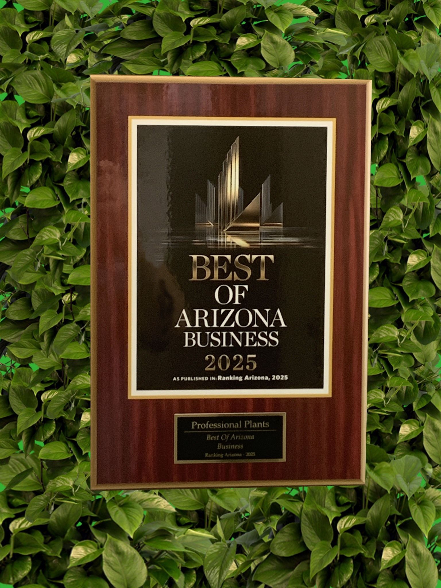 Award plaque,