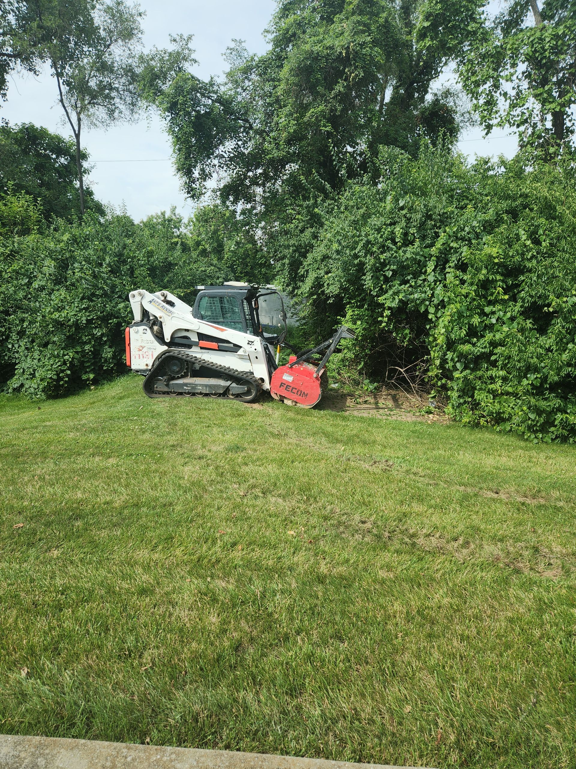 A white Bobcat compact track loader with a red forestry mulcher attachment clearing brush along a grassy hillside.