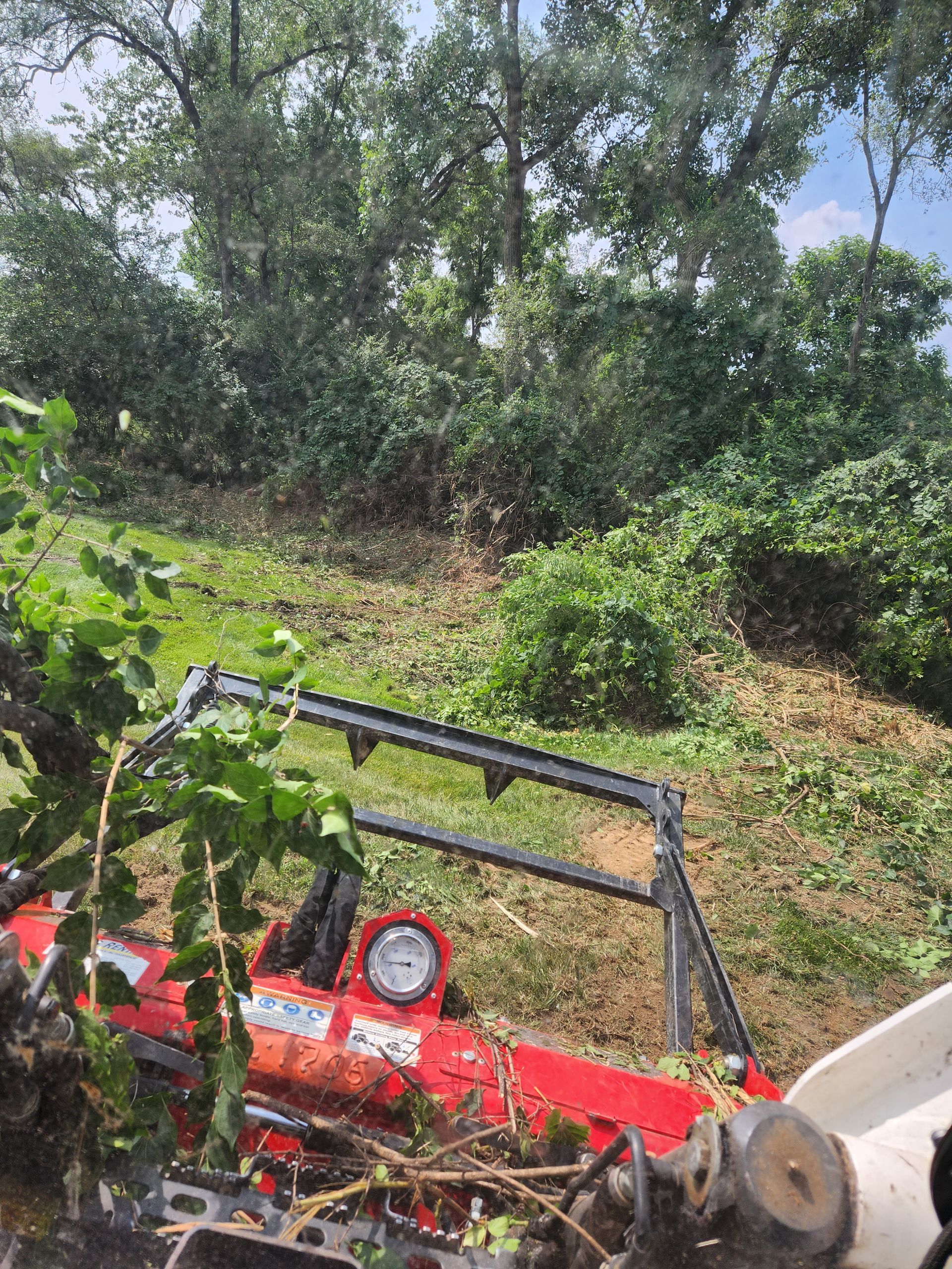 A close-up view of a bright red forestry mower attachment clearing dense brush and small trees in a wooded area.