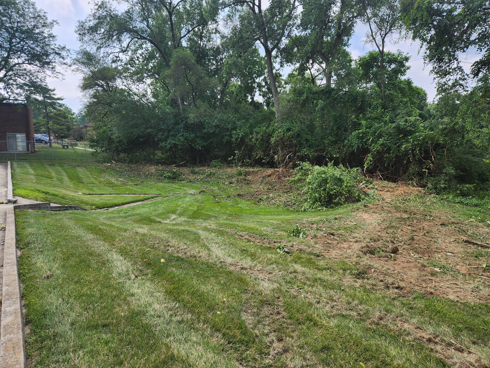 A view of a recently mowed lawn transitioning into a wooded area with trees and shrubs under a cloudy sky.