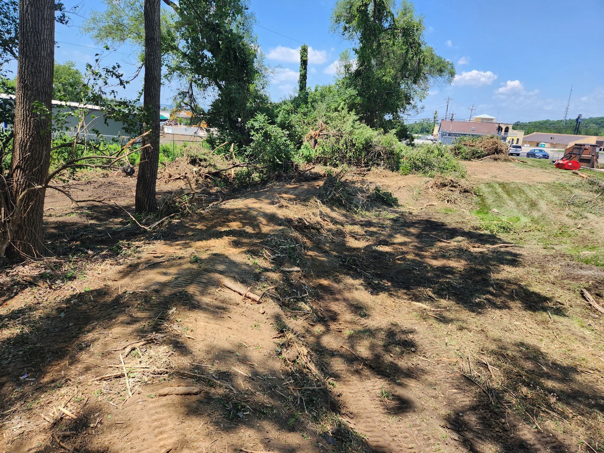 A clearing with brown, tilled earth in the foreground and tall green trees, bushes, and distant buildings under a blue sky.