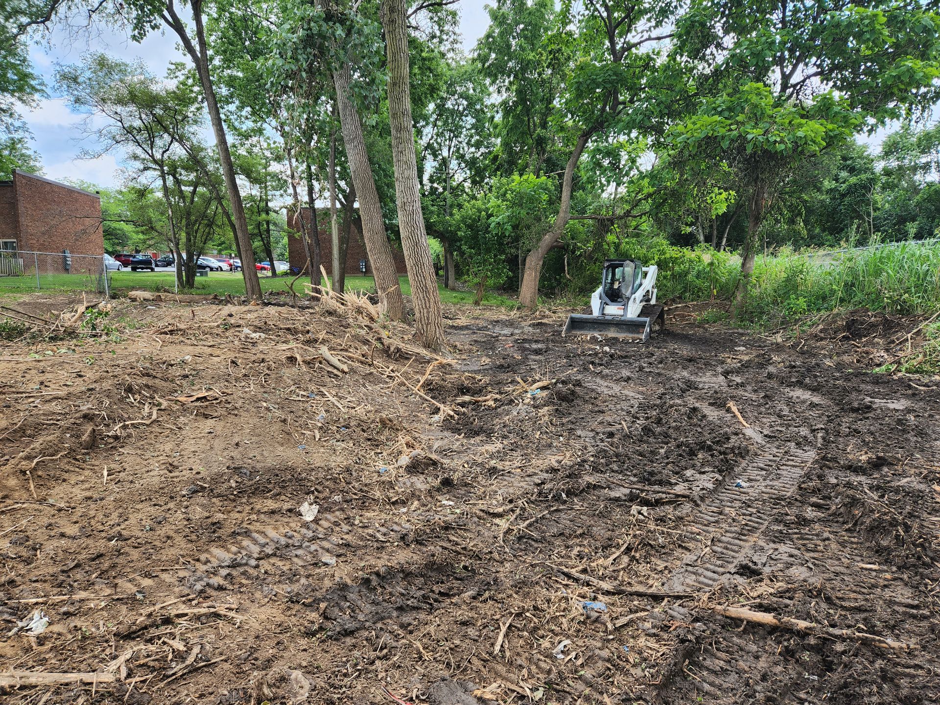 A white skid-steer loader clears land in a wooded area with muddy ground and tire tracks.