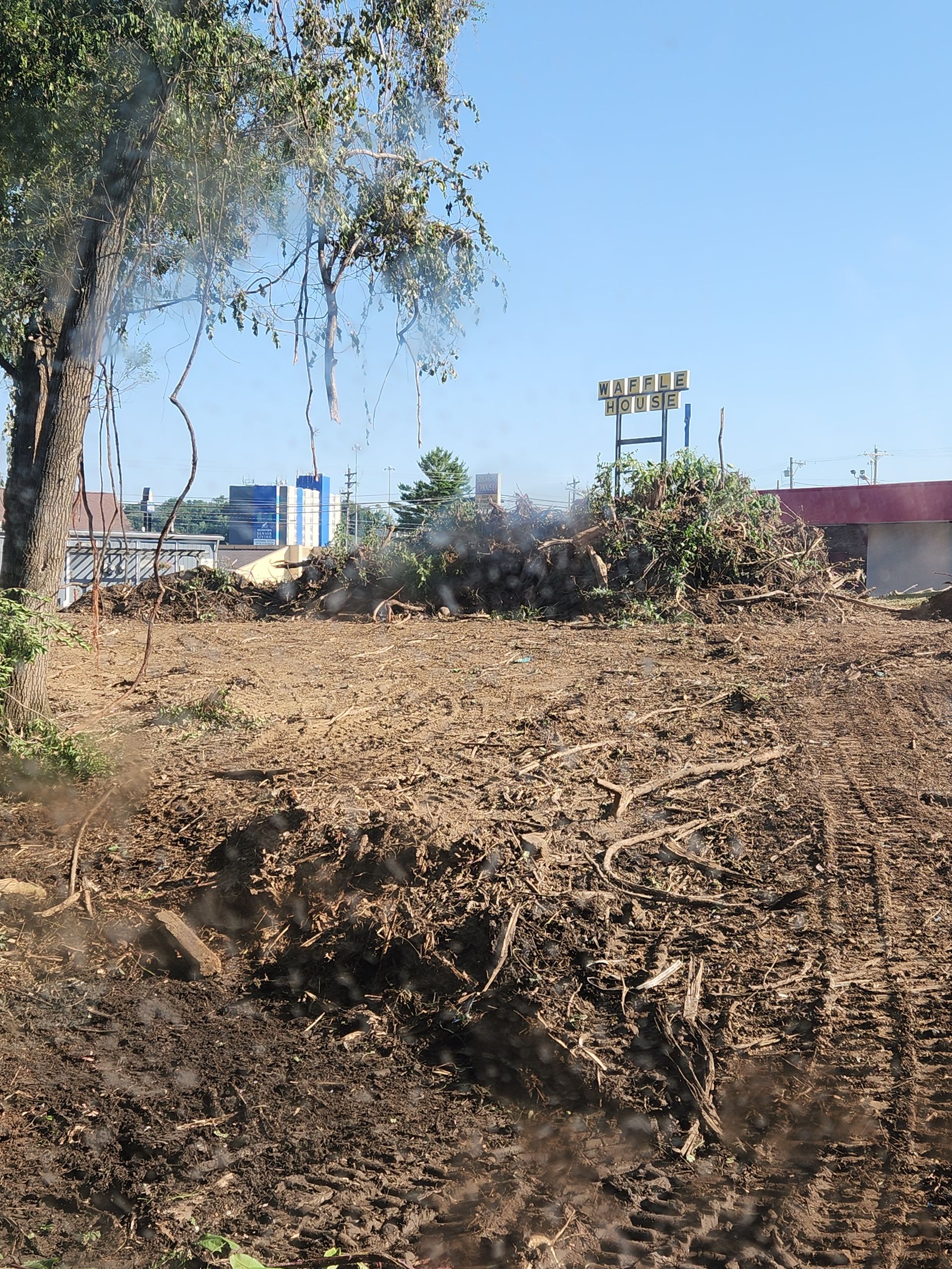 A clear, sunlit field of freshly cleared land with piles of brush and debris under a clear blue sky.