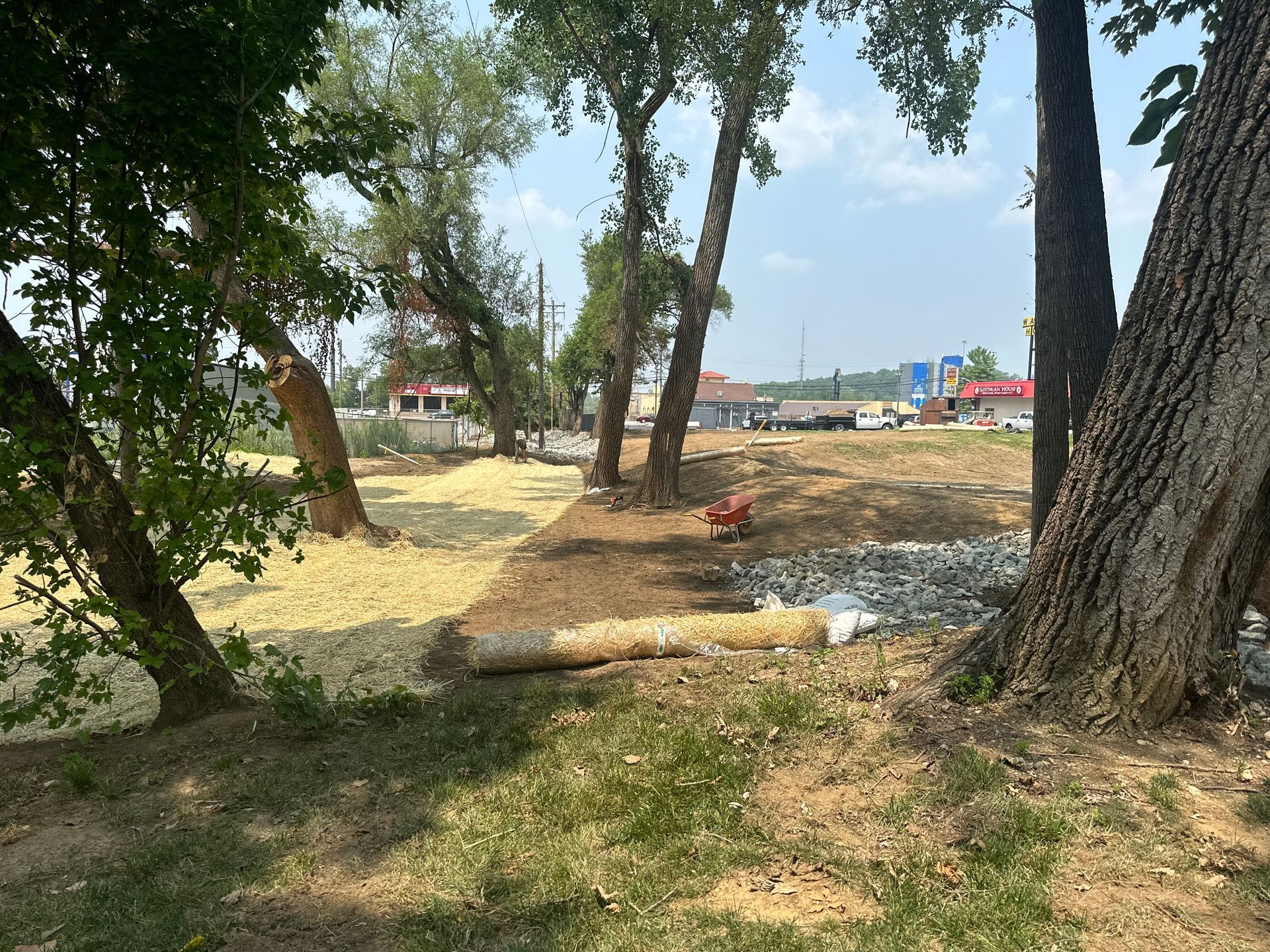 A landscape view showing trees, straw mulch, and a straw wattles erosion barrier on a cleared, sunny construction site.