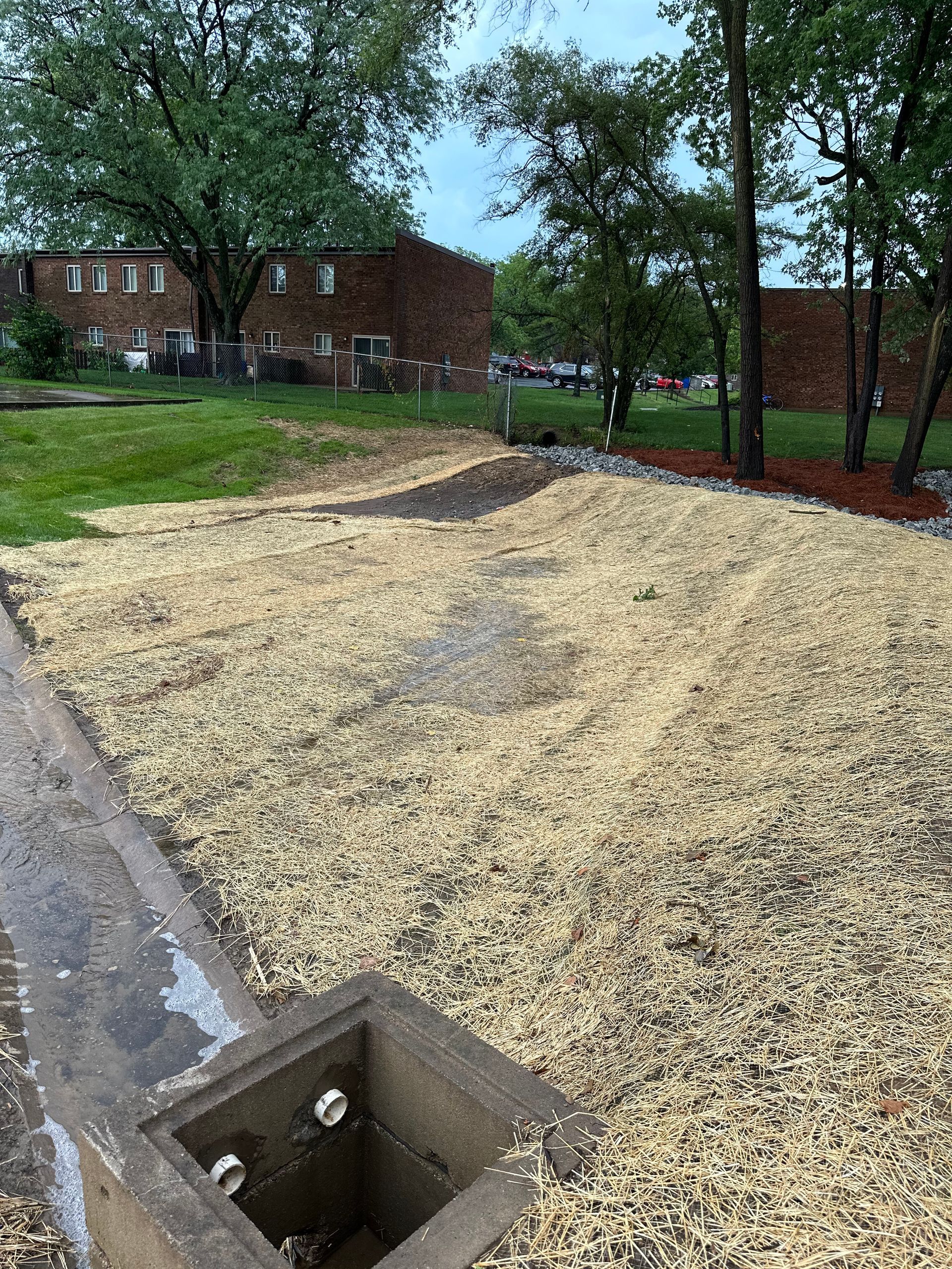 A wide angle shot of a landscaped area covered in wood mulch, featuring a concrete drainage inlet in the foreground.
