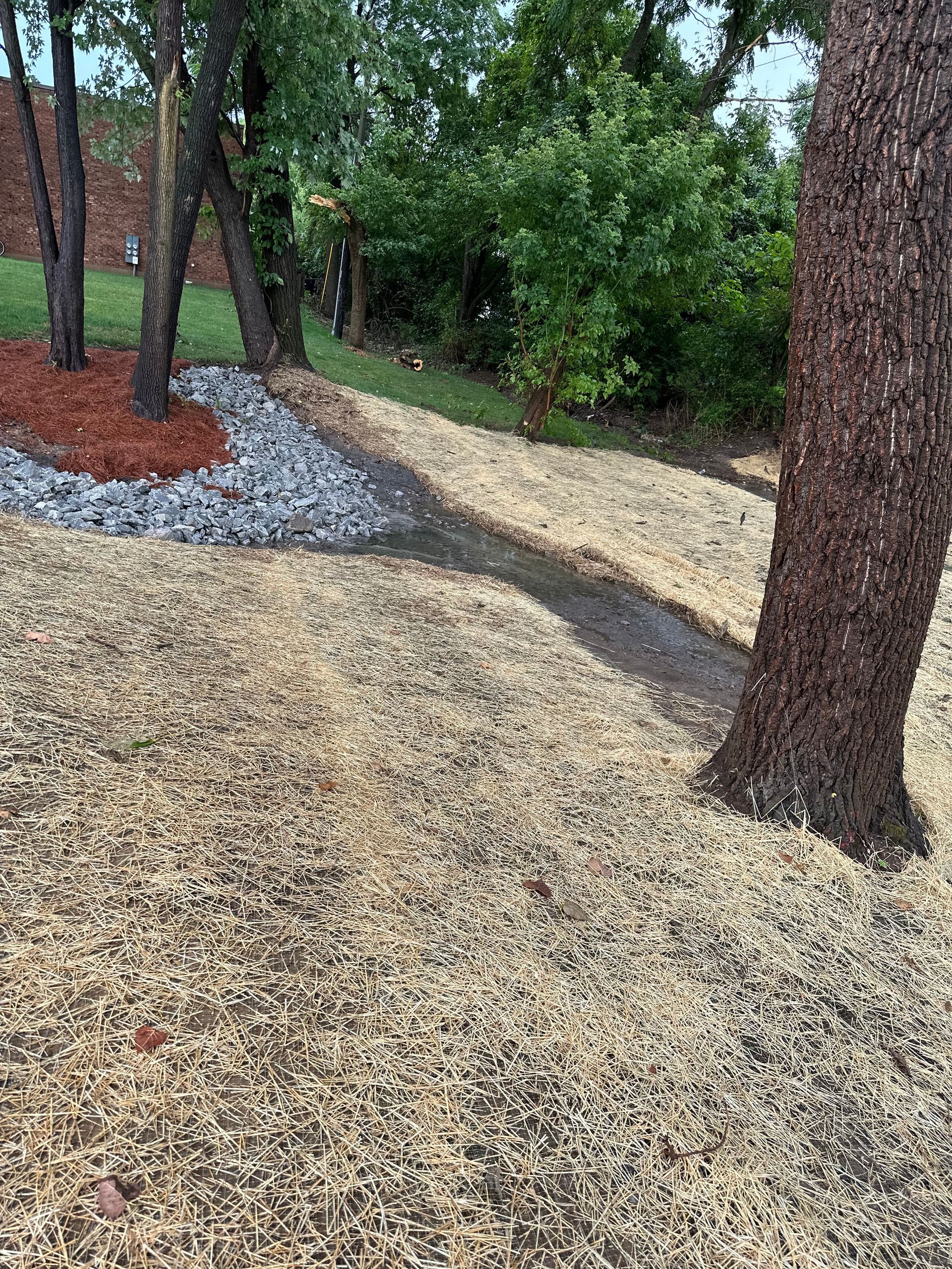 A sloped landscape featuring trees, light wood chips, a bed of dark red mulch, and a grey gravel drainage path.