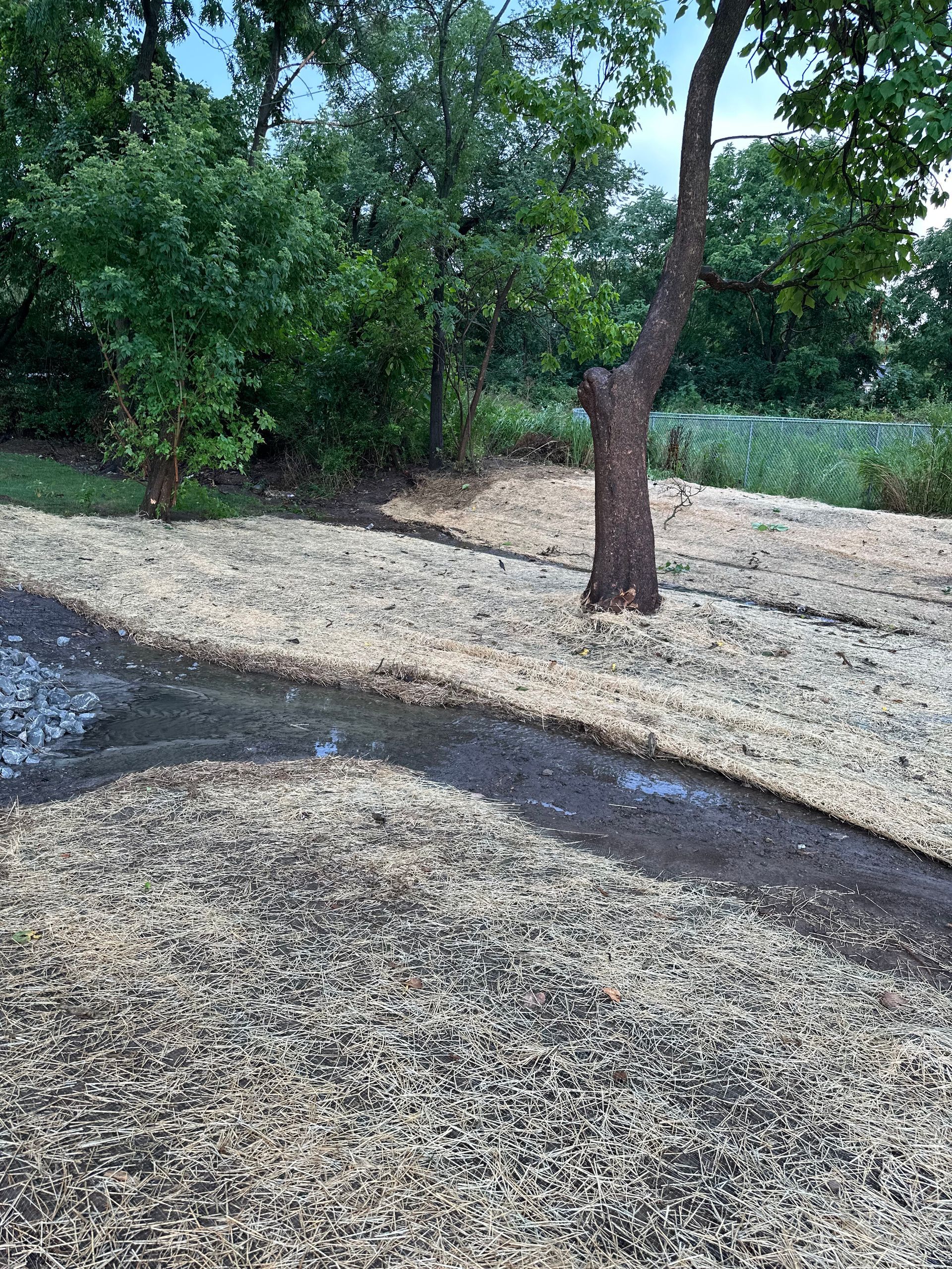 A dirt path winds through a yard covered in wood chips, leading toward a tree in a lush green backyard.