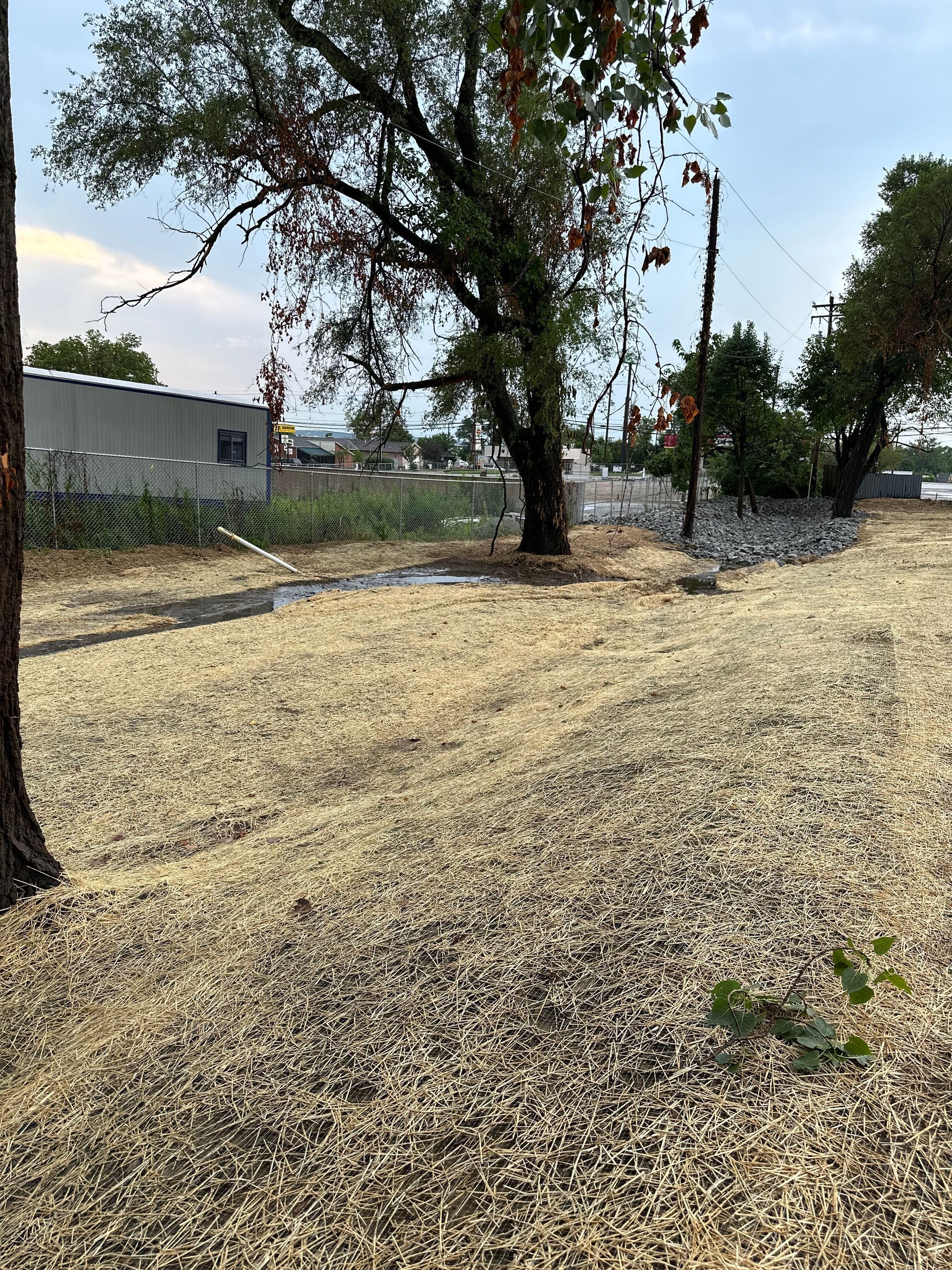 A view of a dry, straw-covered field under trees, leading toward a building and a road under a bright, hazy sky.