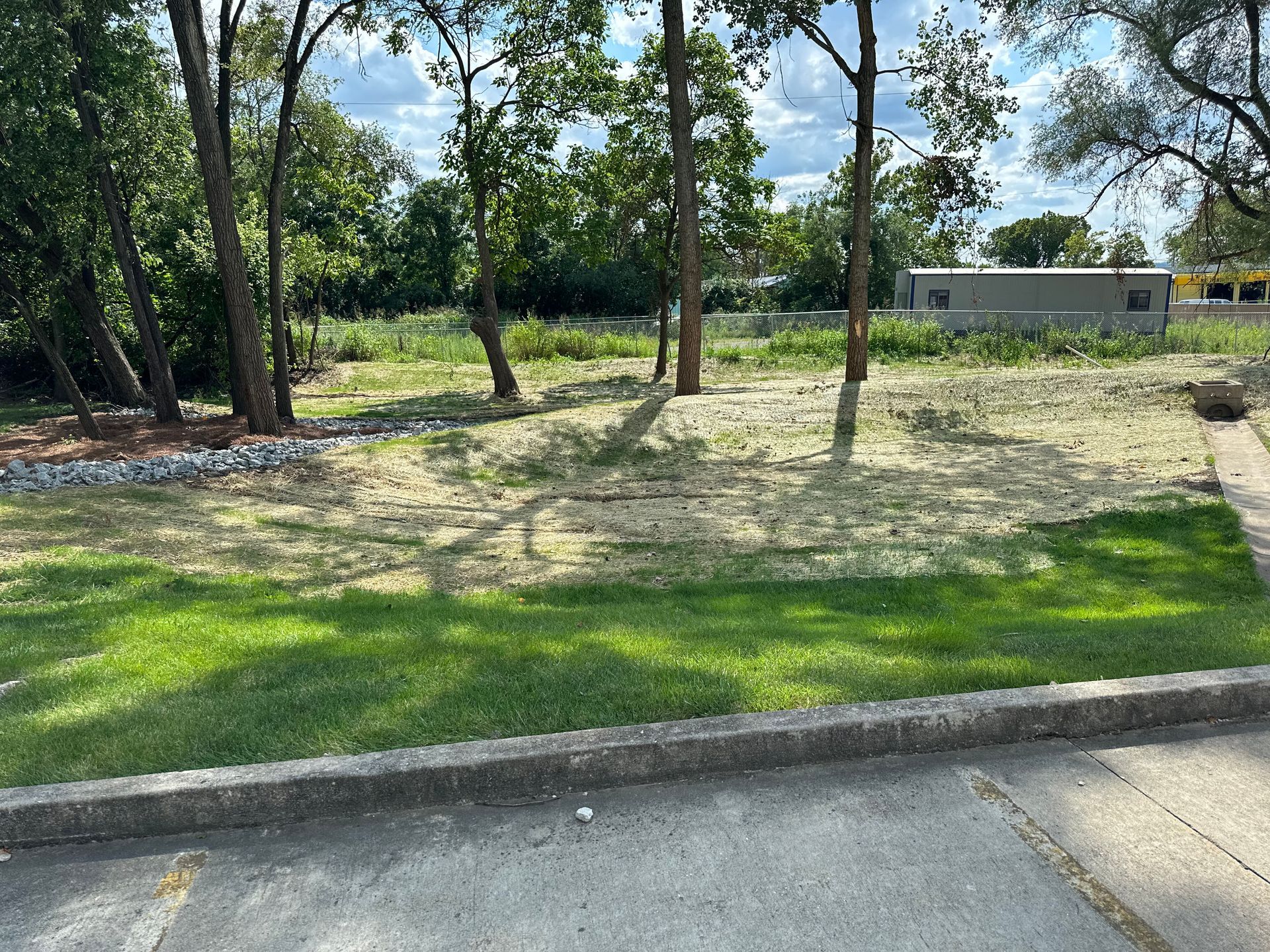 A patch of grass and dirt leads to a wooded area behind a concrete curb on a sunny day.