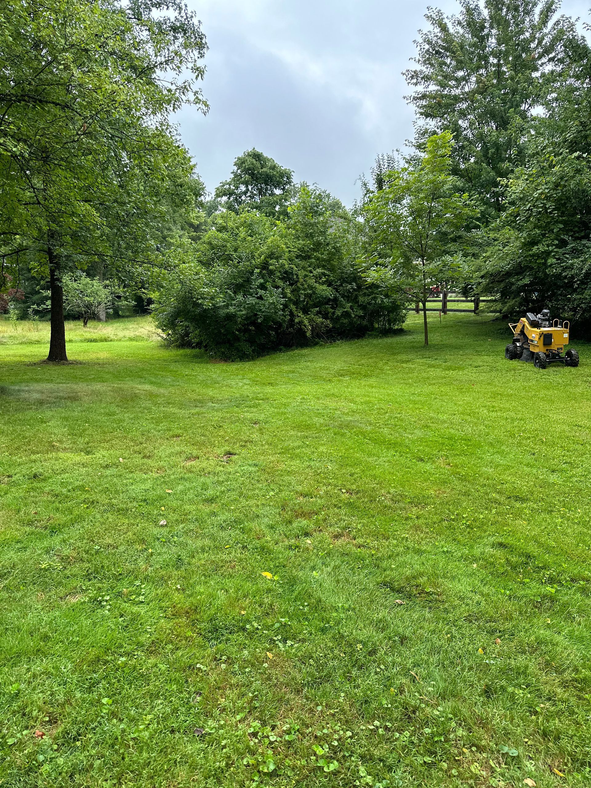 A bright green grassy field with lush trees under a cloudy sky, featuring a small yellow lawn tractor parked on the right.