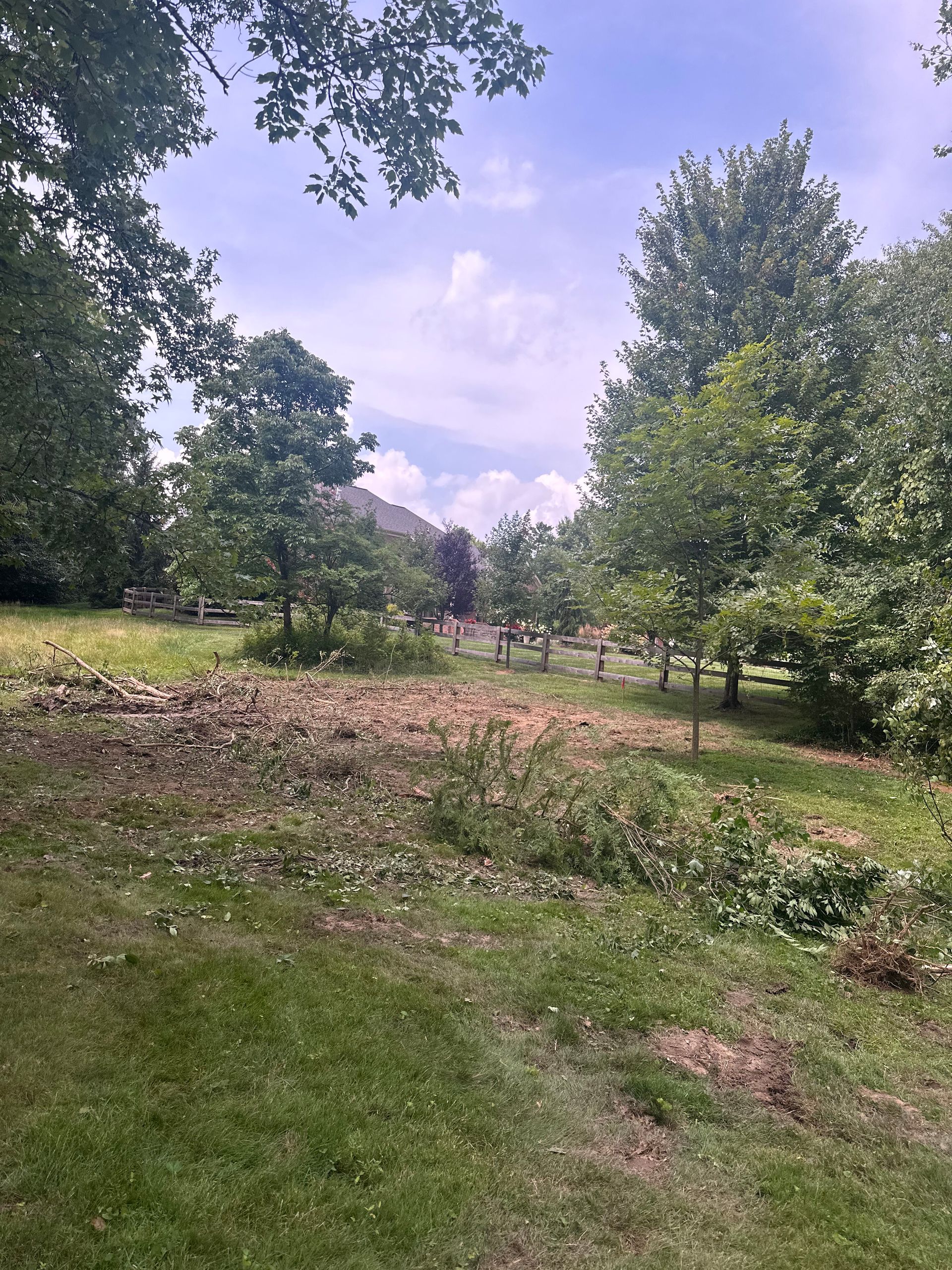 A field with cut tree debris scattered on the grass, surrounded by lush green trees under a bright, cloudy blue sky.