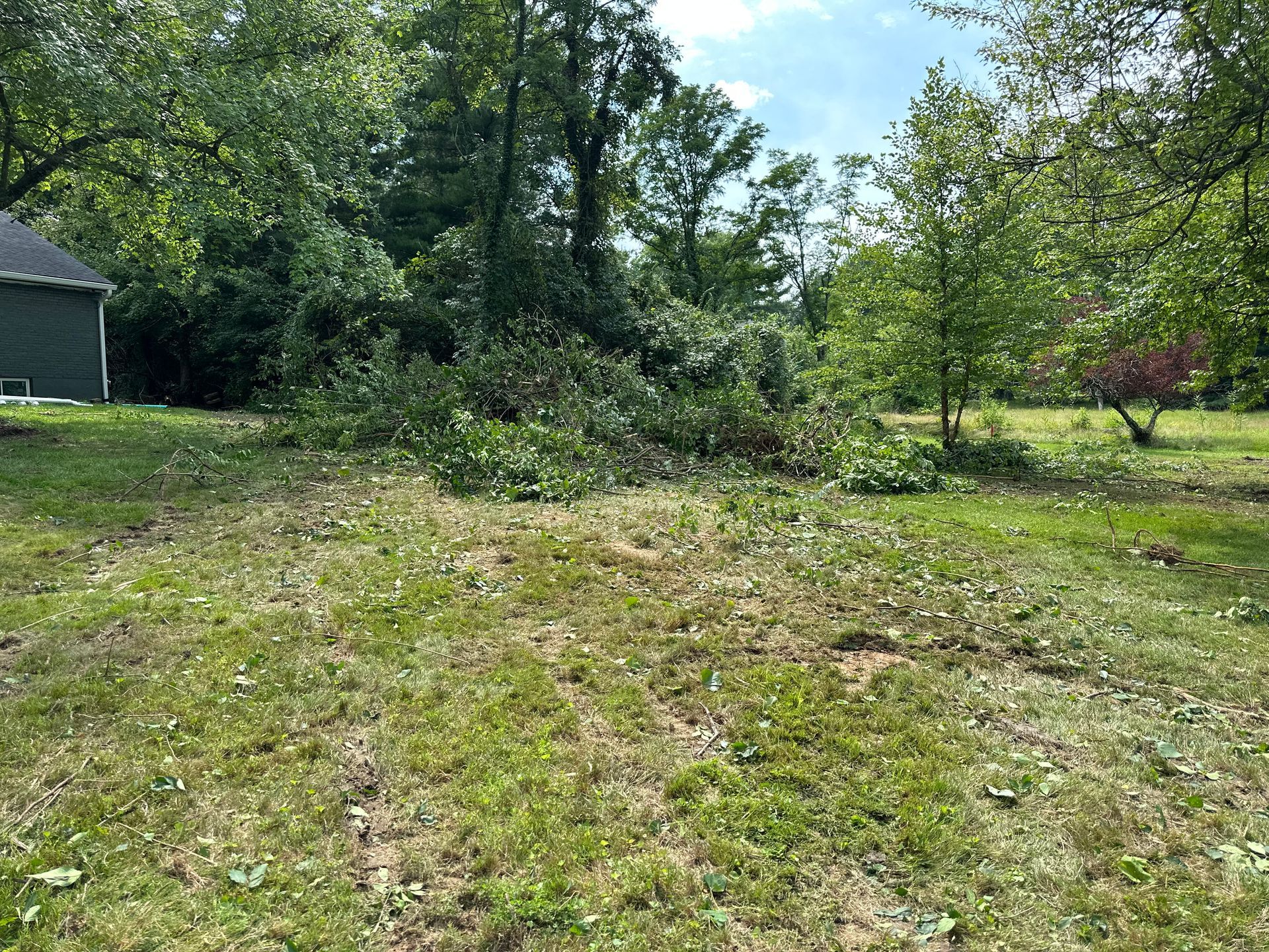 A yard with scattered tree trimmings and brush in front of a dark building, surrounded by green trees under a sunny sky.