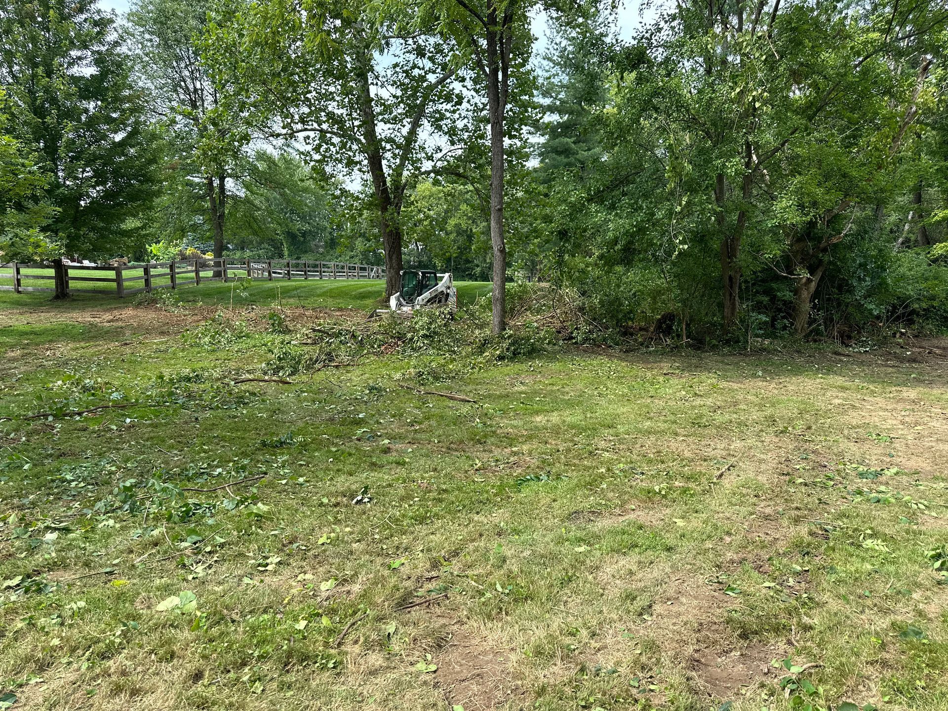 A person on a lawn tractor clears brush in a grassy, wooded park area under a bright, sunny sky.