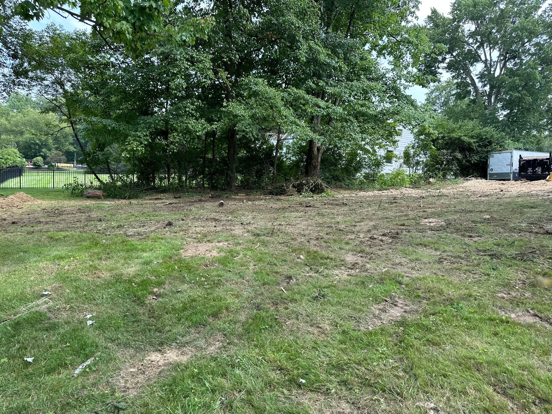 A cleared, grassy lot with loose dirt leads to a line of dense green trees under a bright sky, with a trailer in the back.
