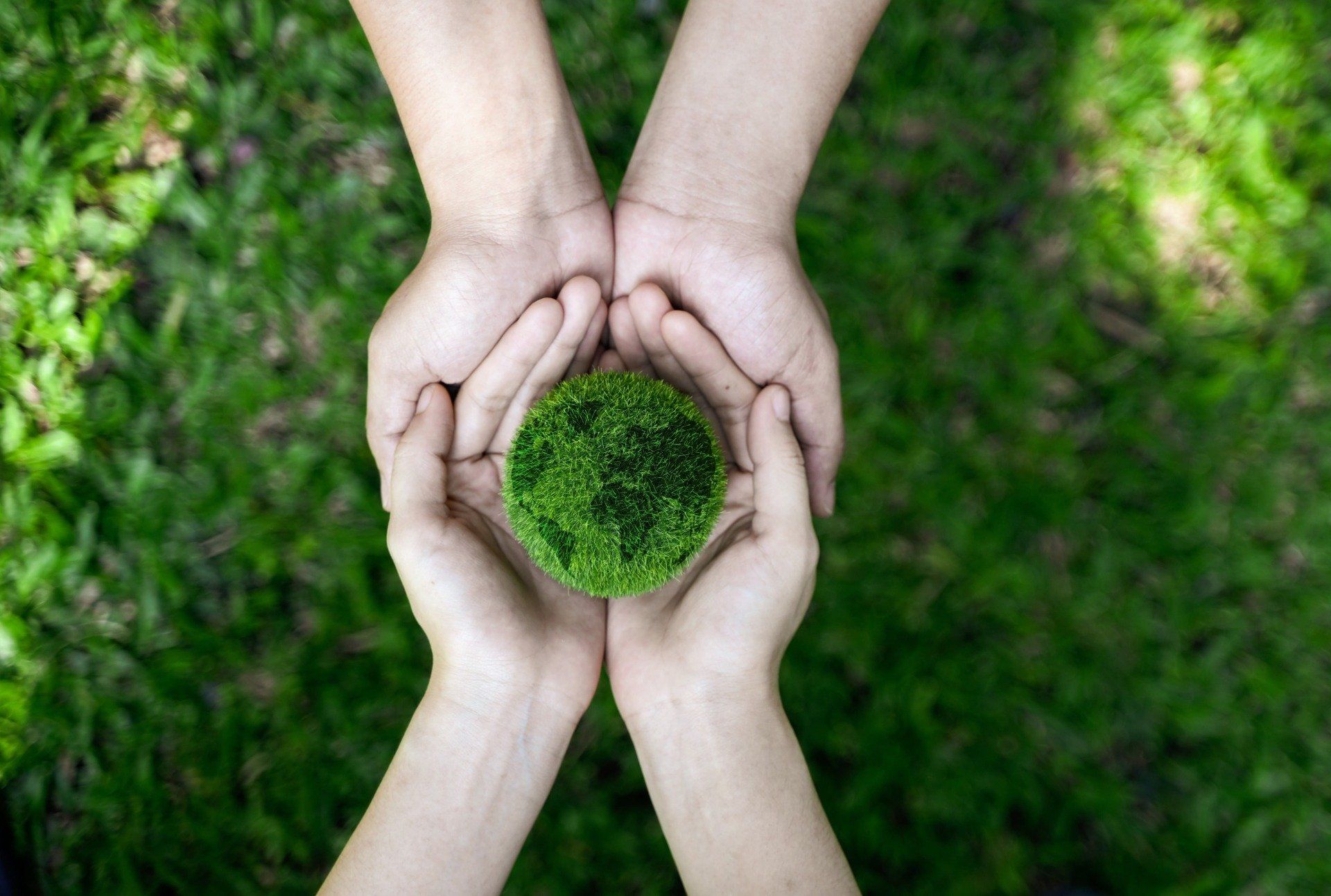 pcb assembly companies and carbon neutral pcbs