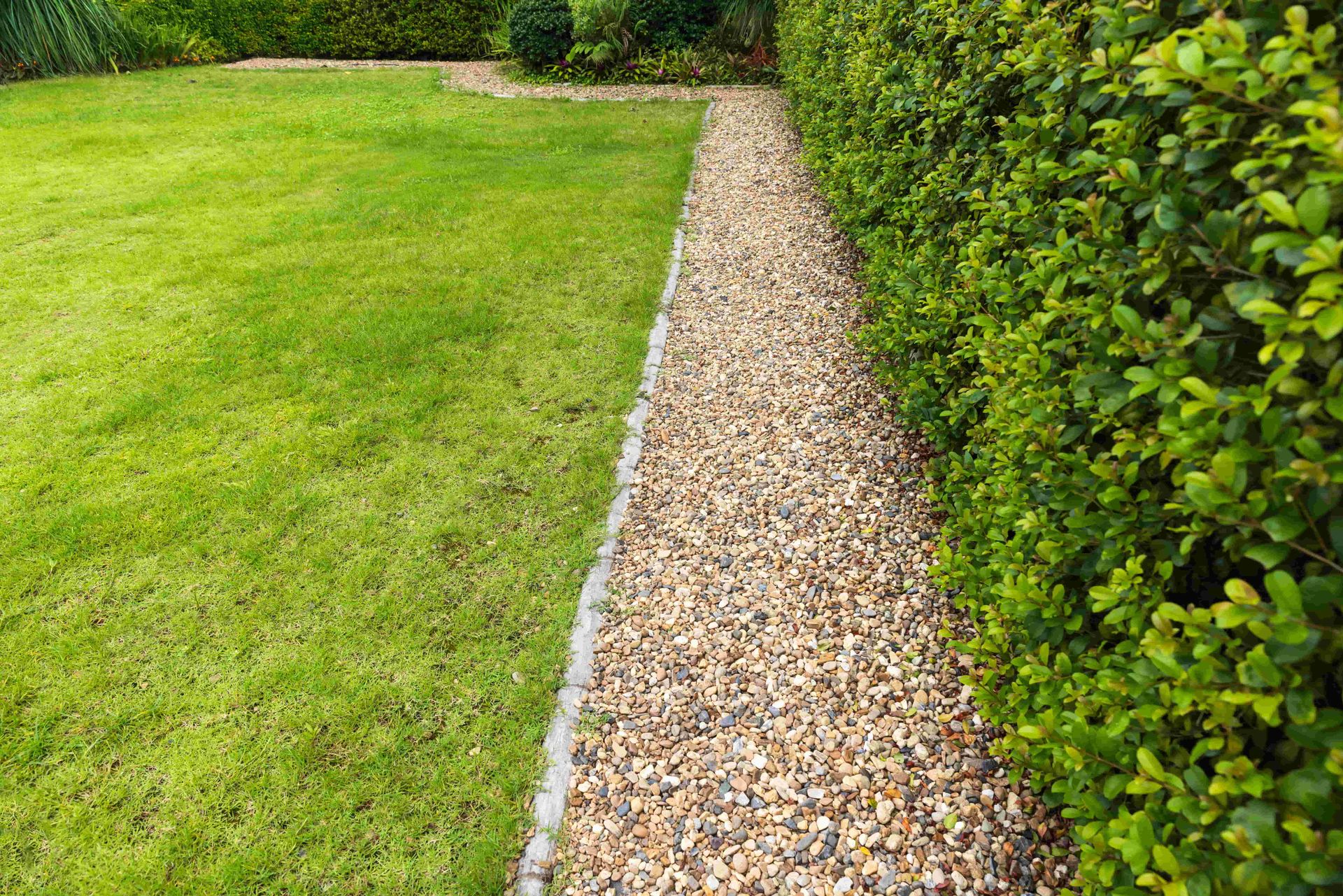 Green lawn with a gravel pathway beside a dense, green hedge.