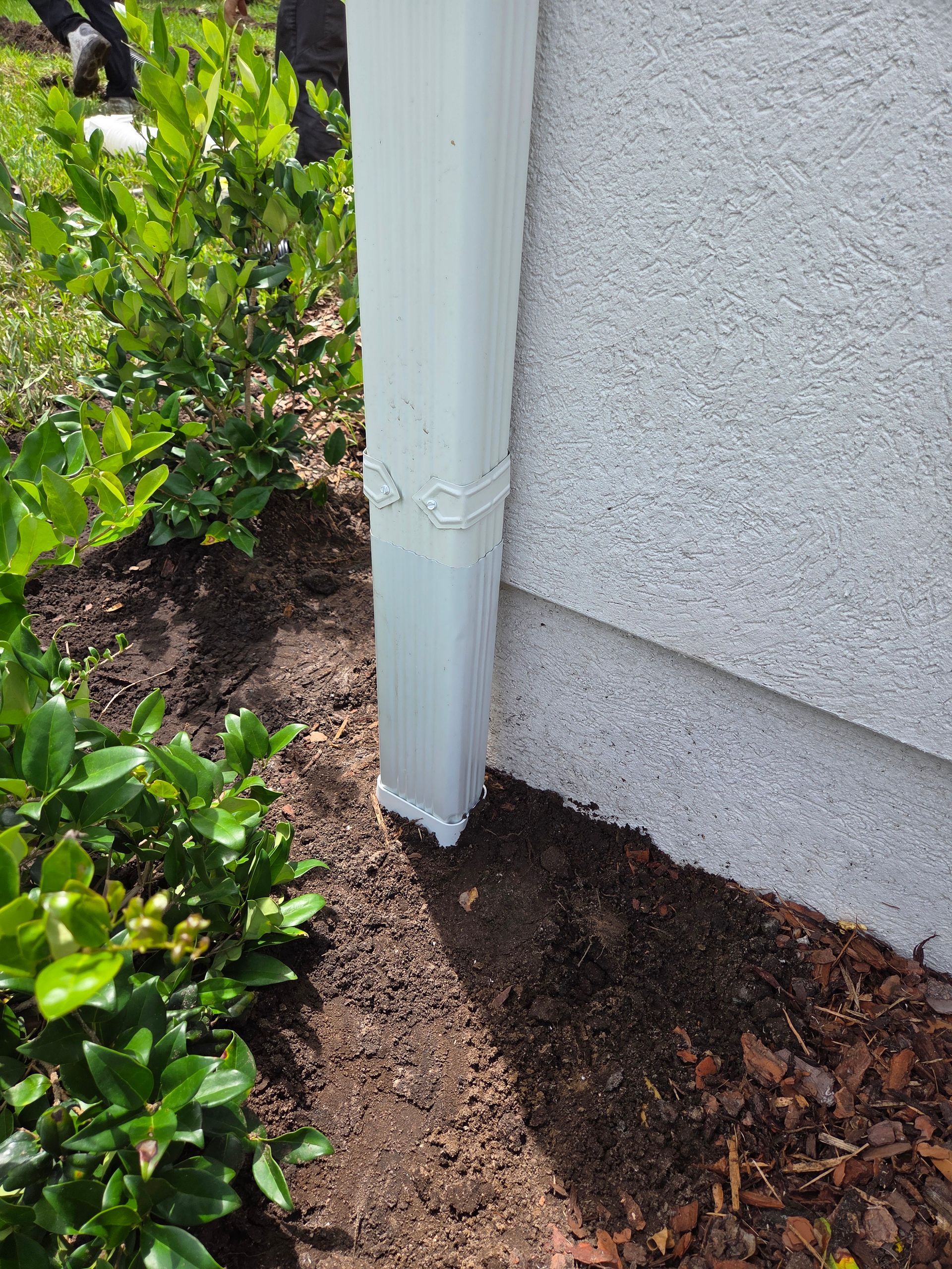 White downspout next to a textured, gray wall; surrounded by dark brown mulch and green plants.