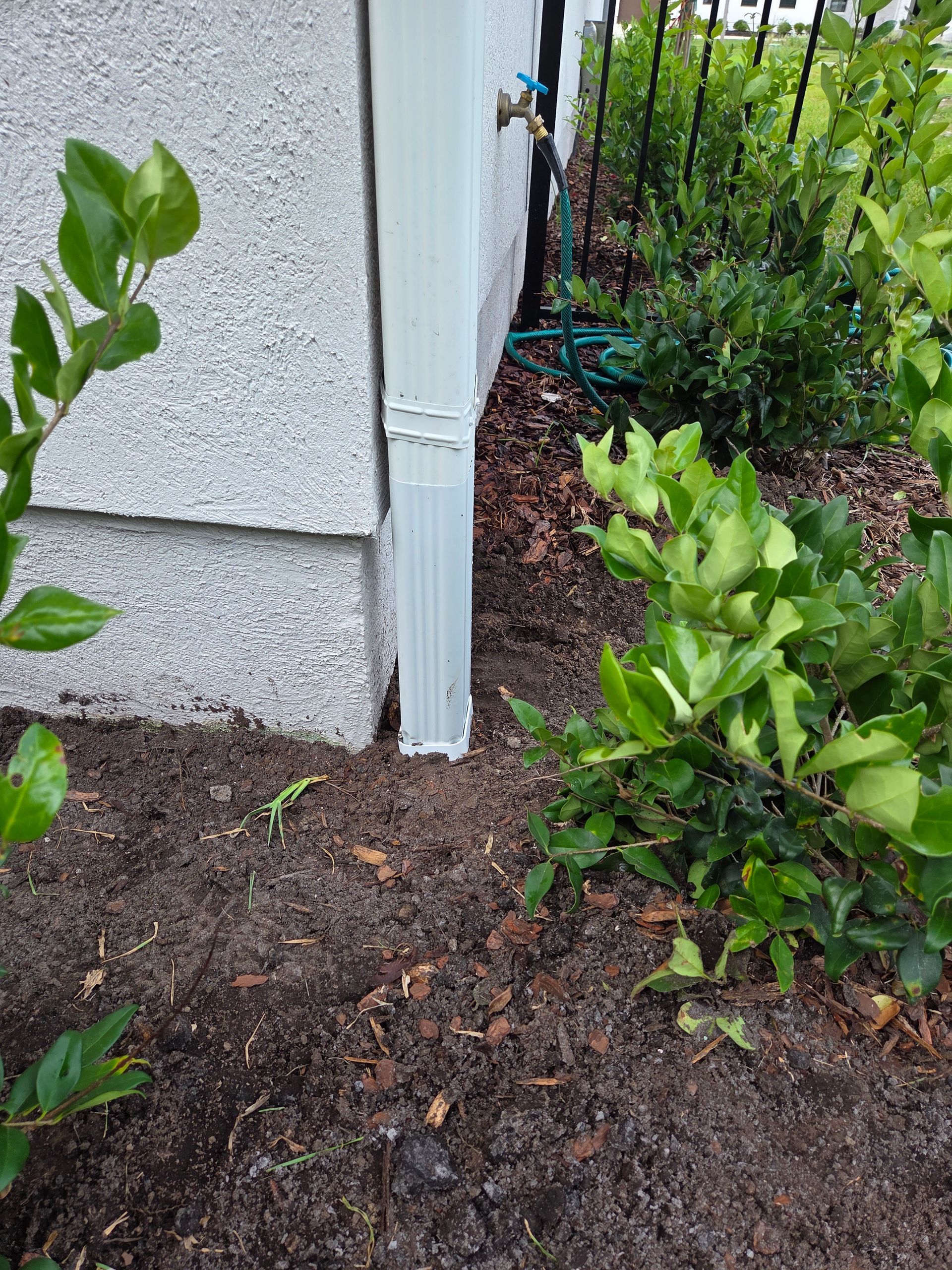 White downspout next to a textured white wall, surrounded by dark soil and green plants.