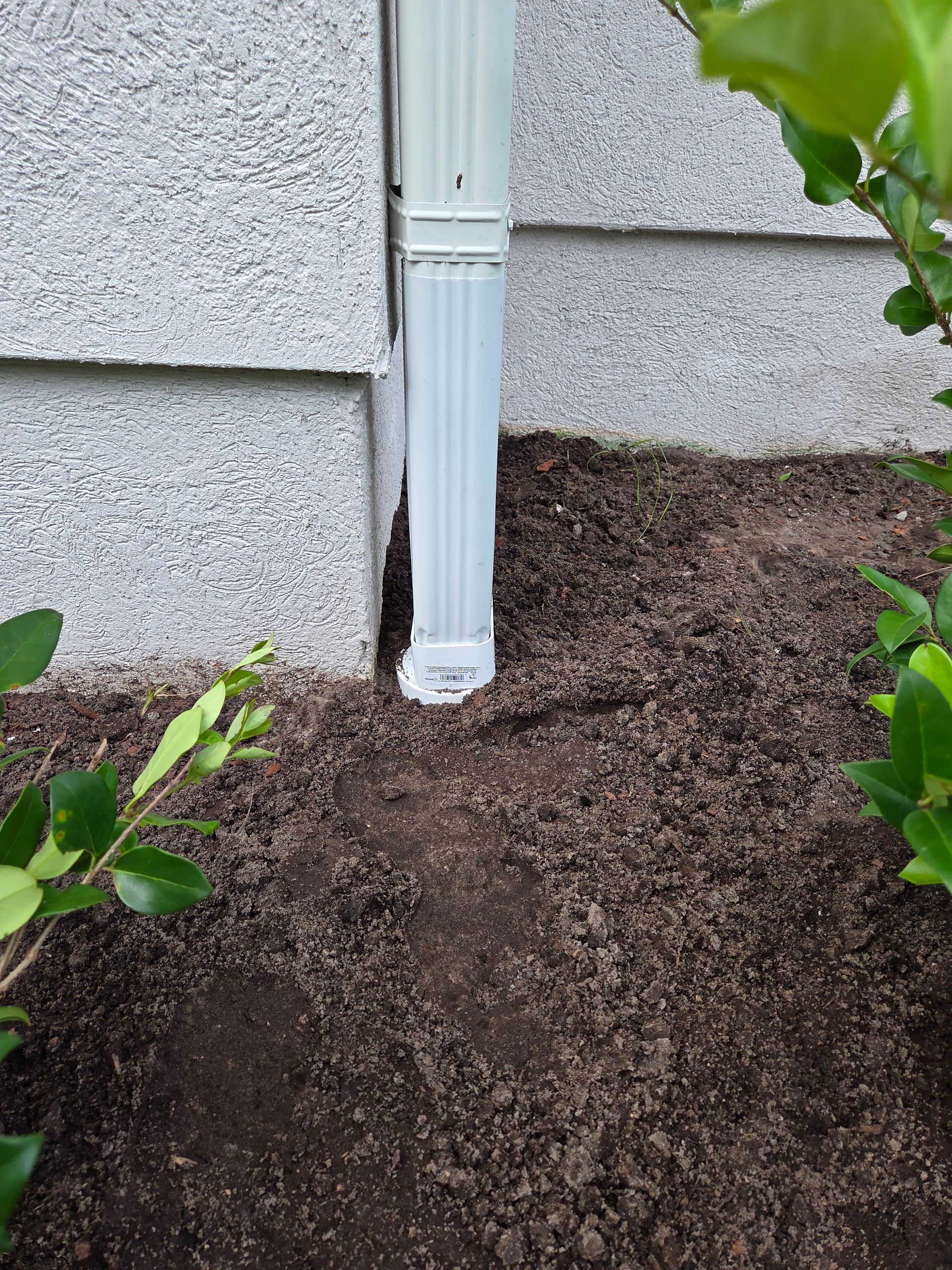 Downspout against a textured wall, surrounded by dark soil and green plants.
