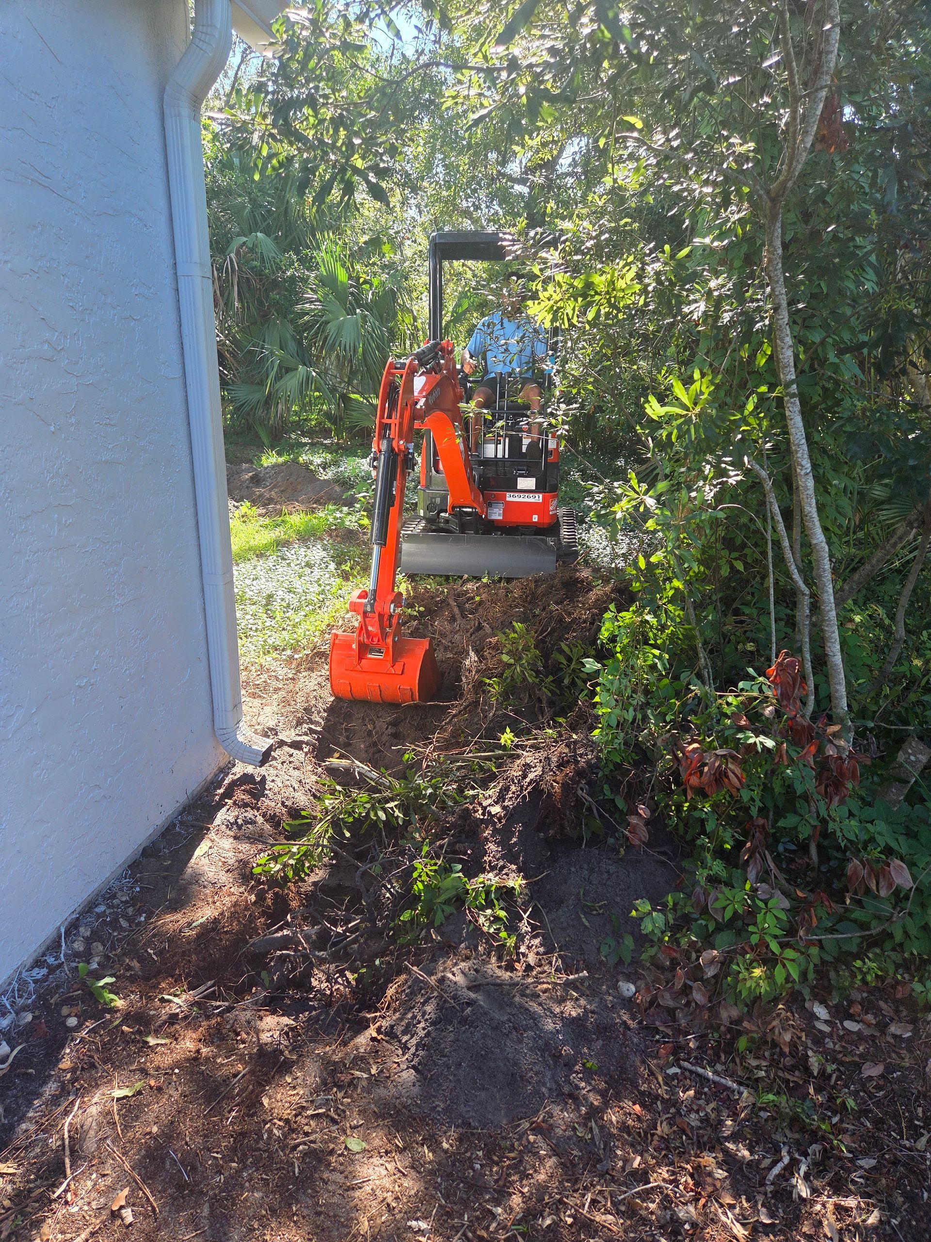 An orange mini-excavator clearing brush next to a building and trees.