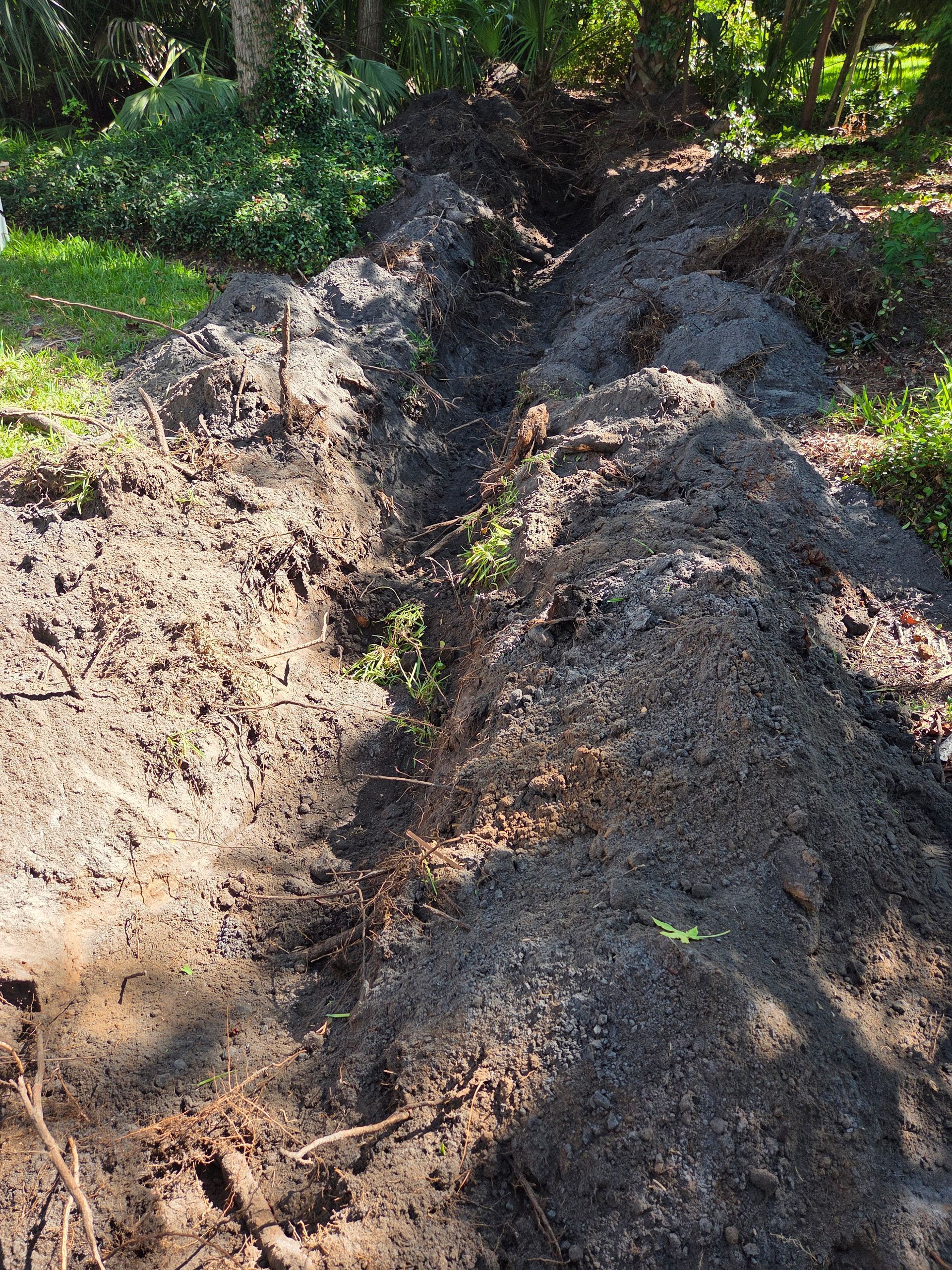 A narrow trench dug in the earth, with piles of dark soil alongside. Green grass and foliage surround it.