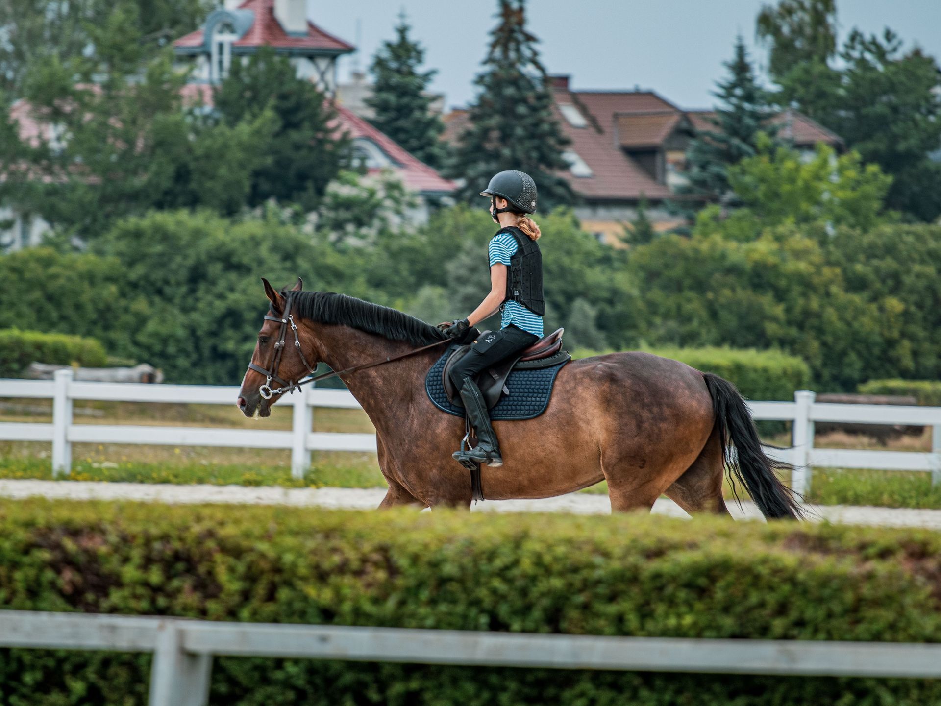 Rider on a brown horse in an outdoor arena with white fencing and trees in the background
