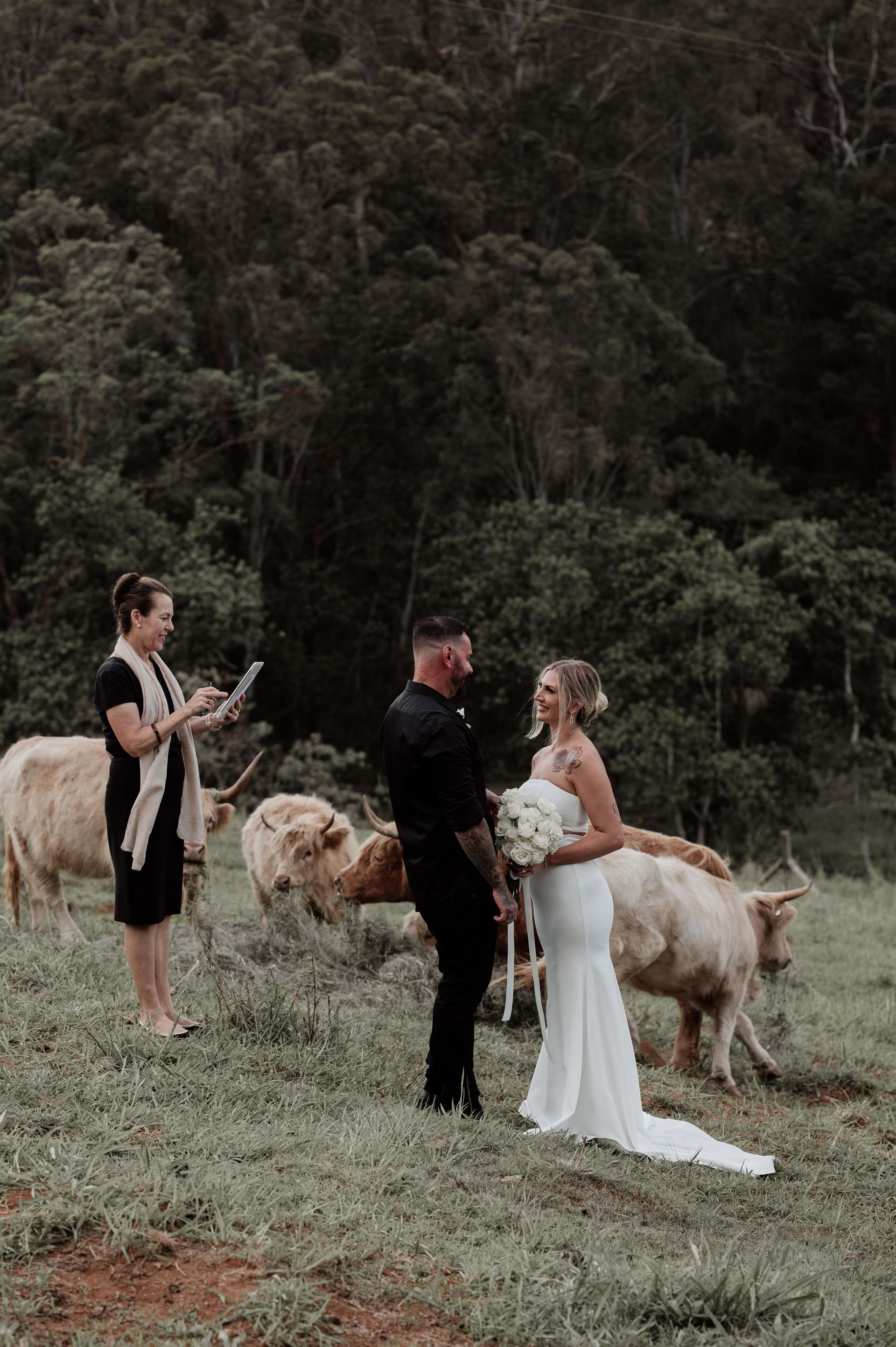 The Best Noosa Wedding Celebrant and Noosa Weddings Advisor Sunshine Coast