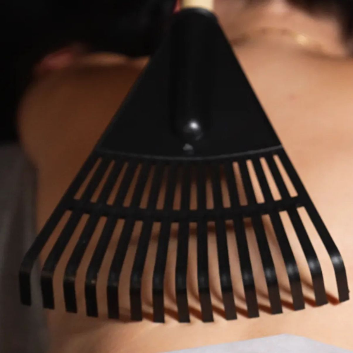 Black garden rake held against a blurred body.