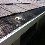Anti Leaf — Governor John Sevier Knoxville, Tennessee — Goddard Continuous Guttering
