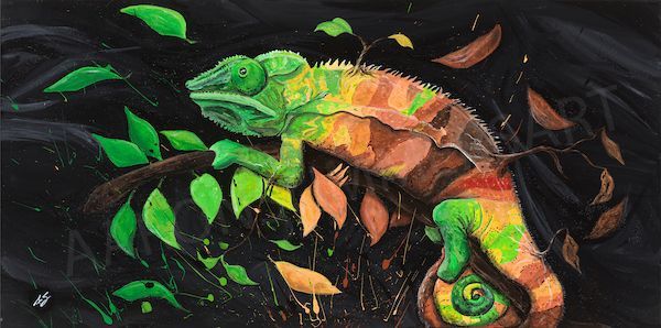 Artwork by Aaron Summers Art