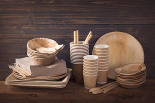 Vaisselle jetable ecologique