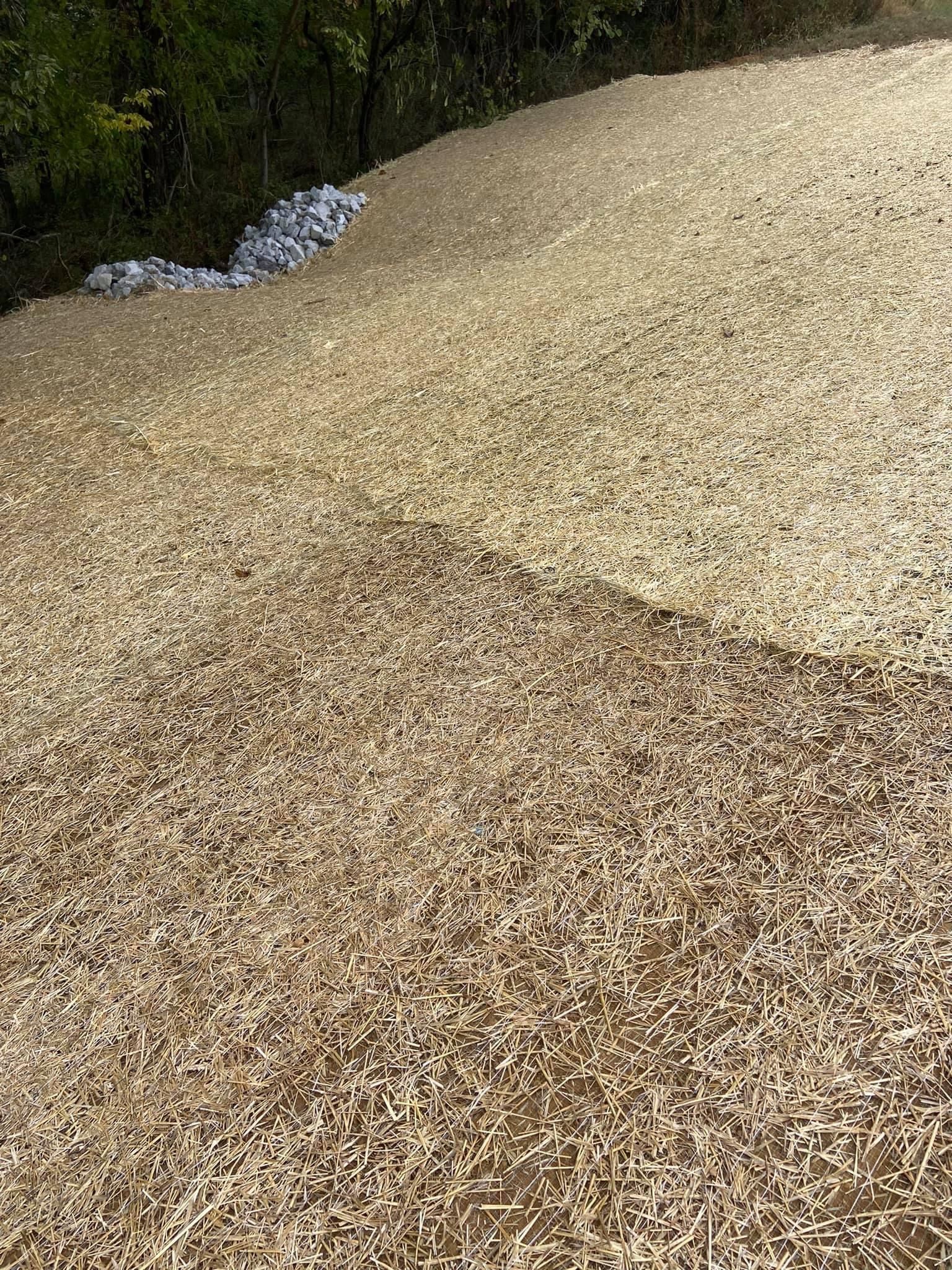 A pile of wood chips is sitting on top of a hill.