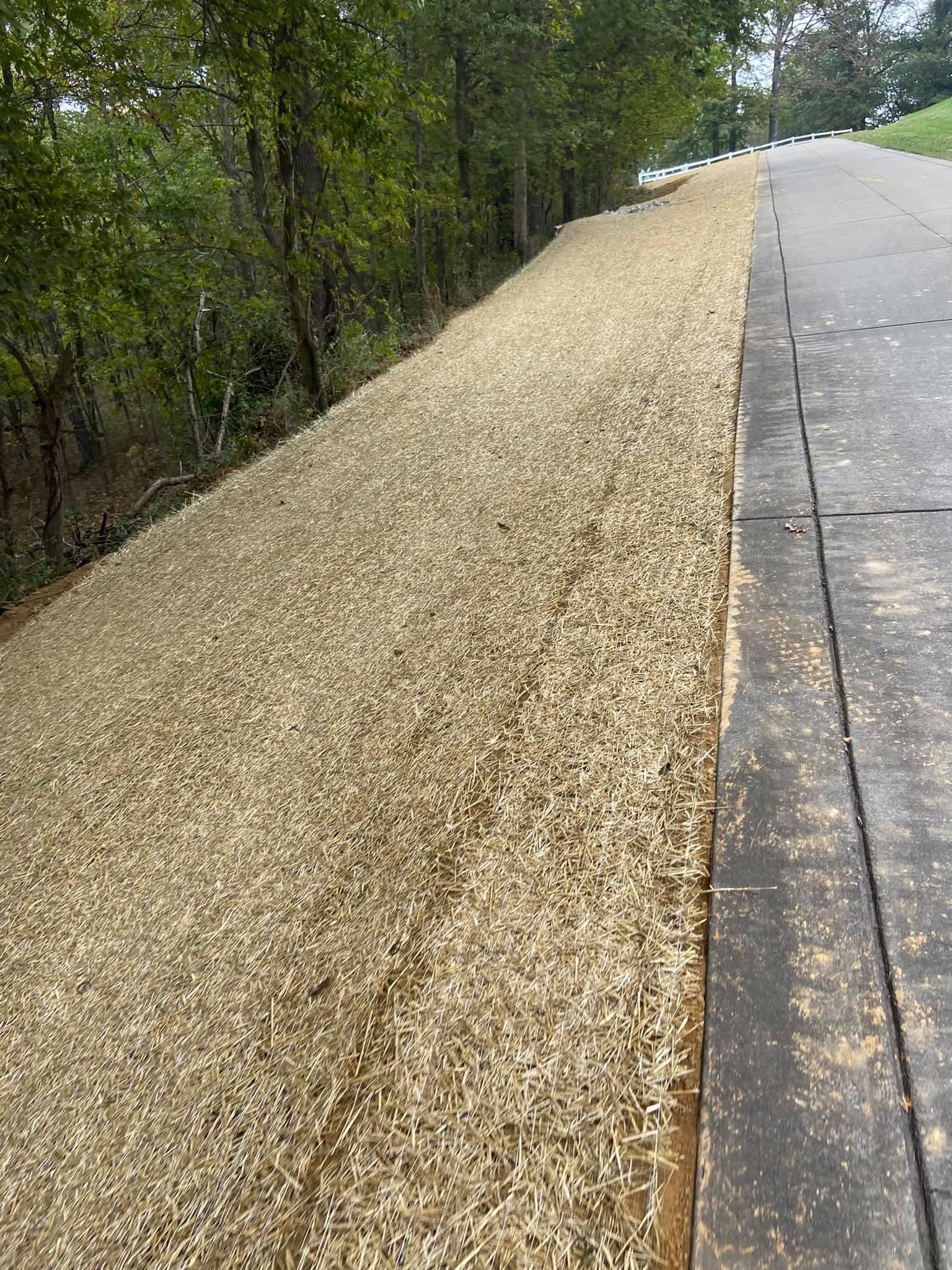 There is a lot of wood chips on the side of the road.
